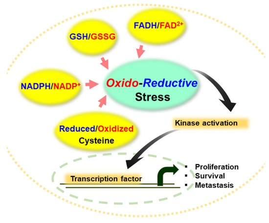 Role of Reductive versus Oxidative Stress in Tumor Progression and ...