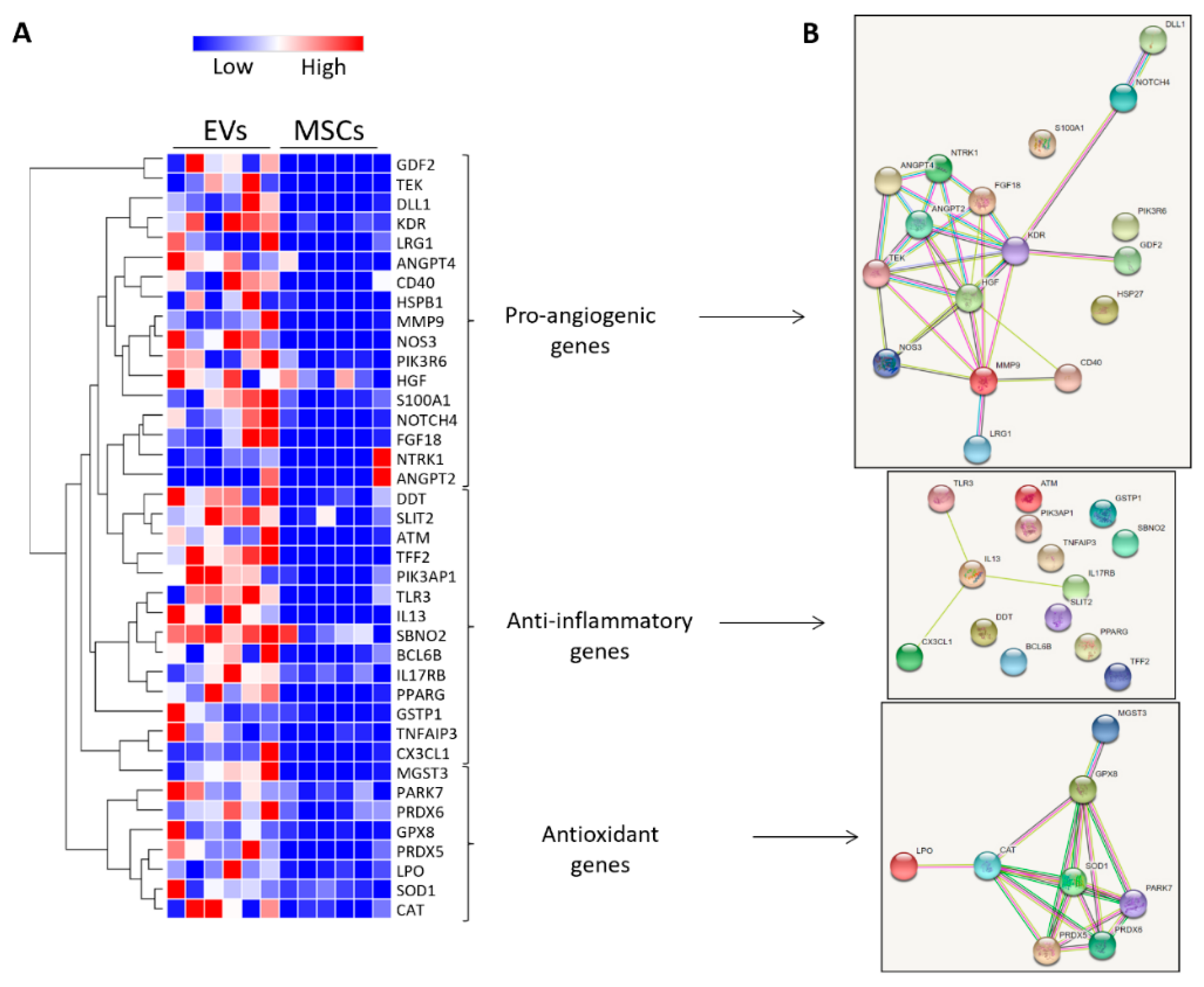 Cells 10 00763 g006 Cells 10 00763 g006