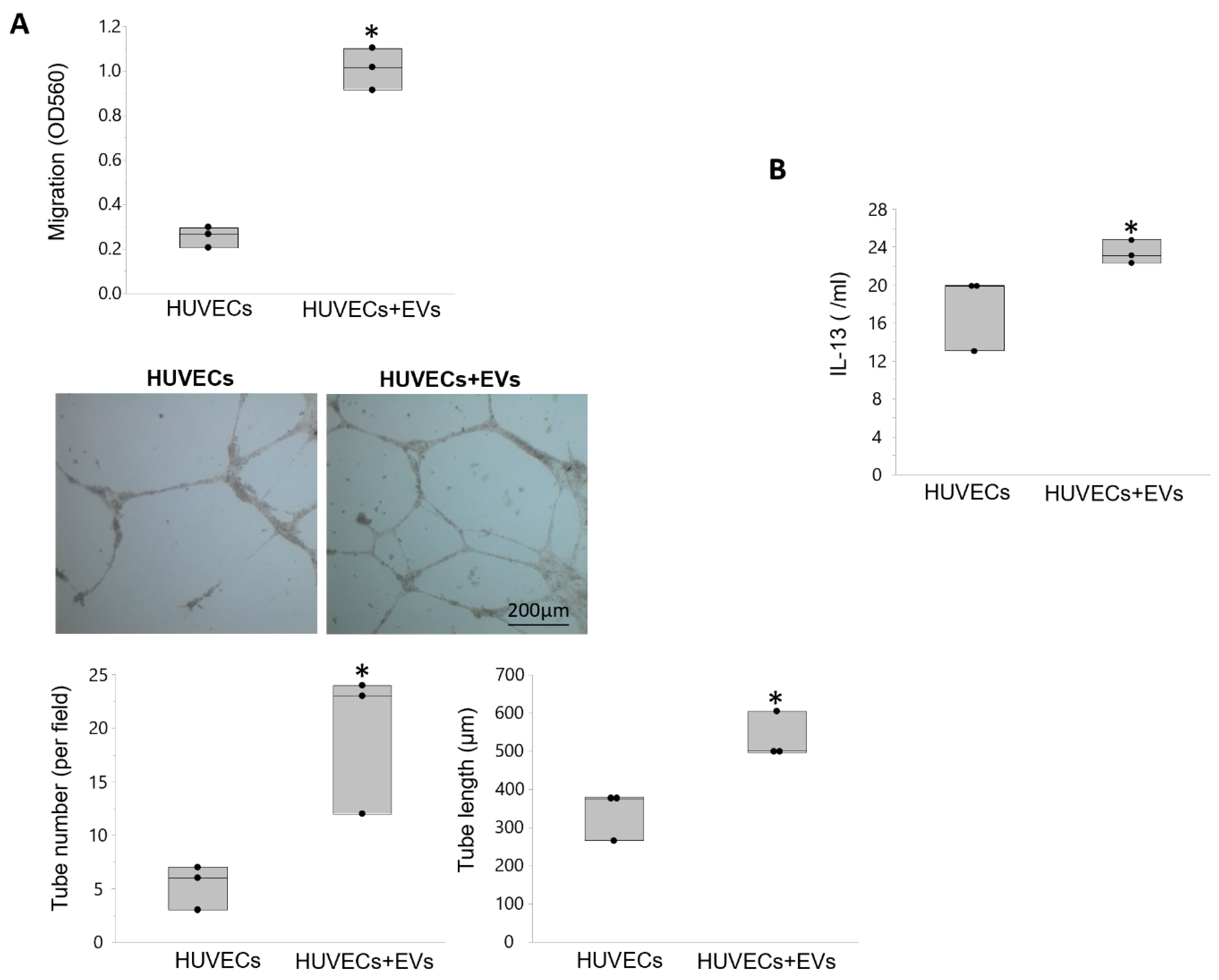 Cells 10 00763 g007 Cells 10 00763 g007