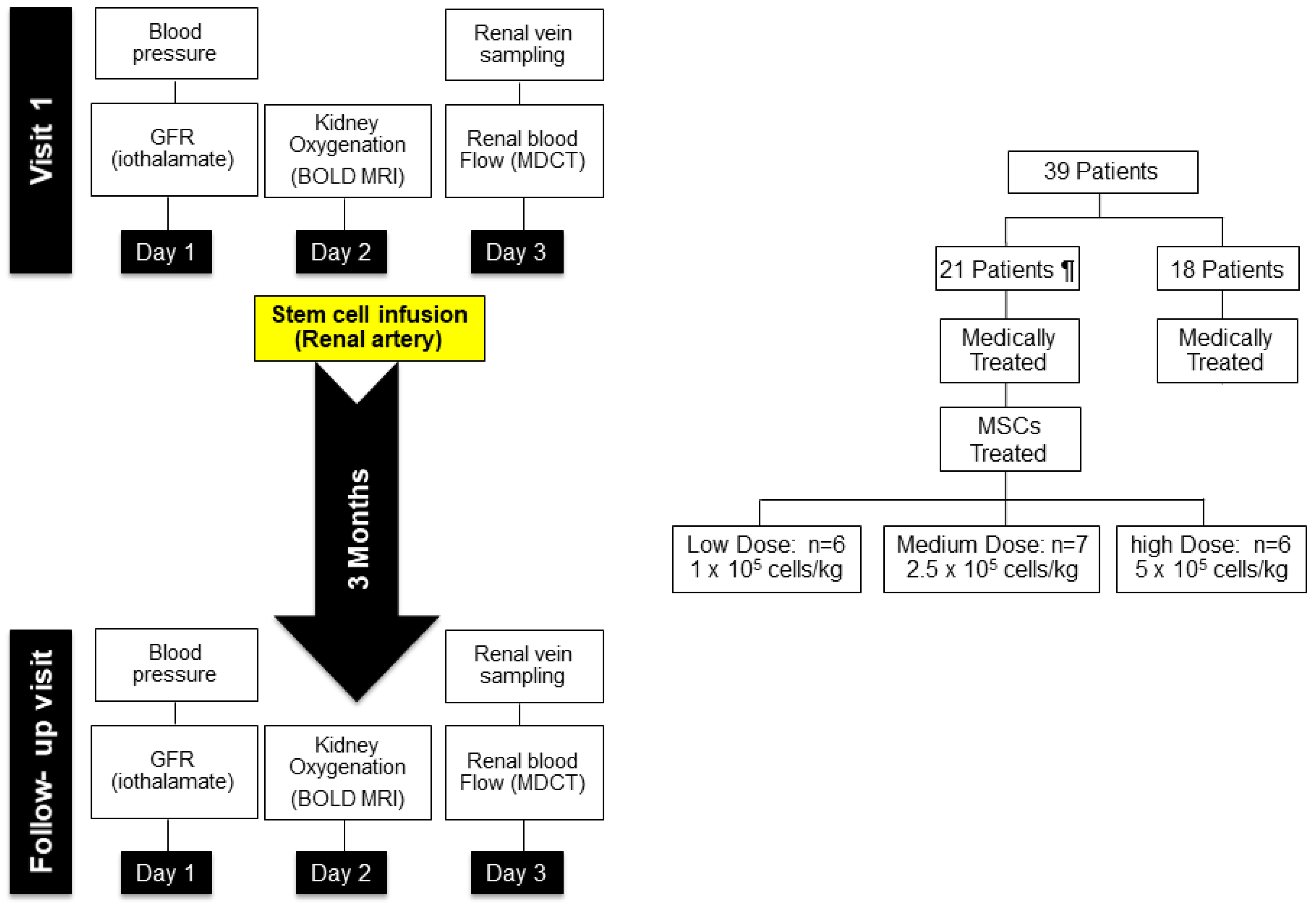 Cells 10 00765 g004 Cells 10 00765 g004
