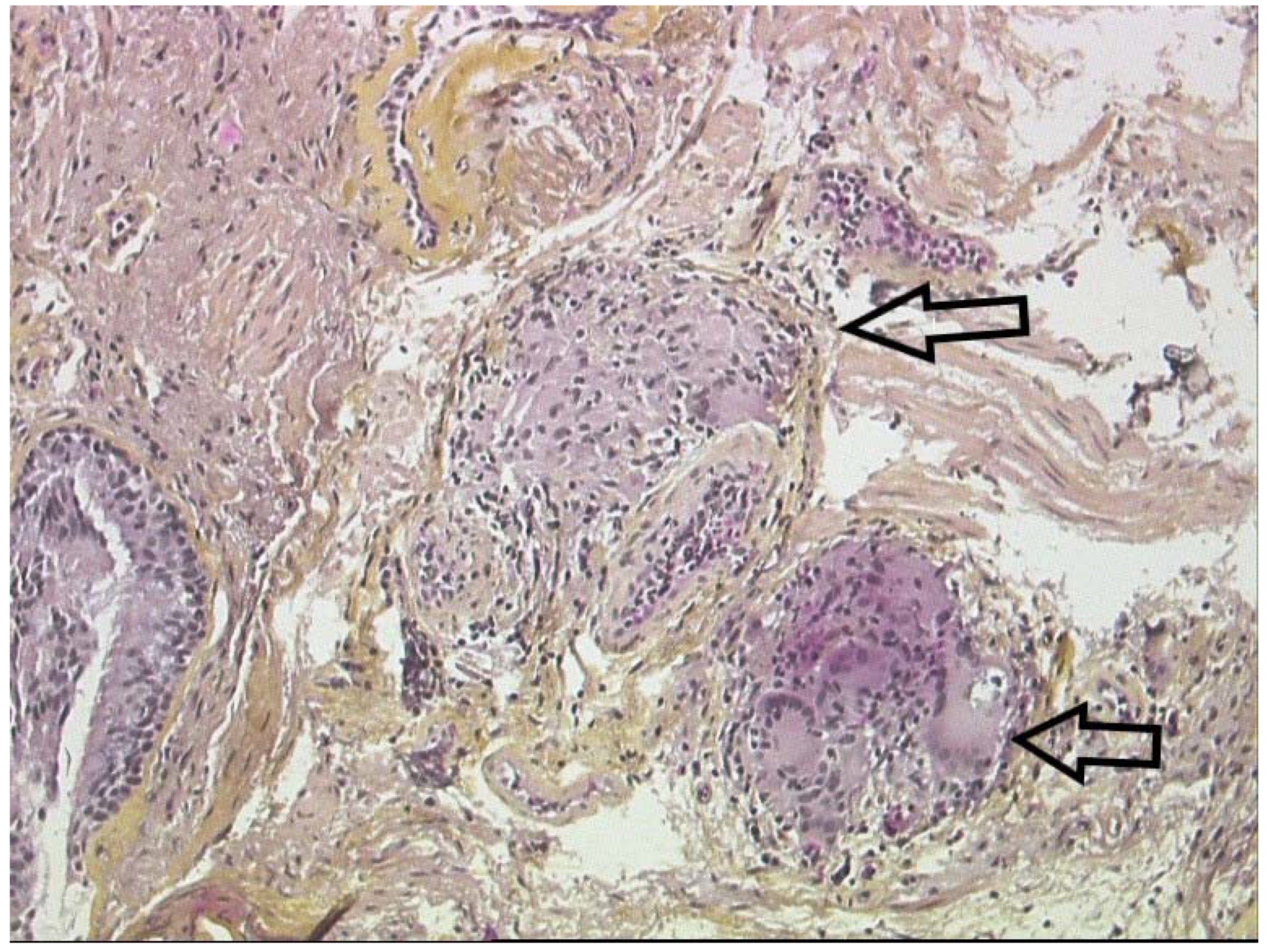 Cells 10 00766 g010 Cells 10 00766 g010