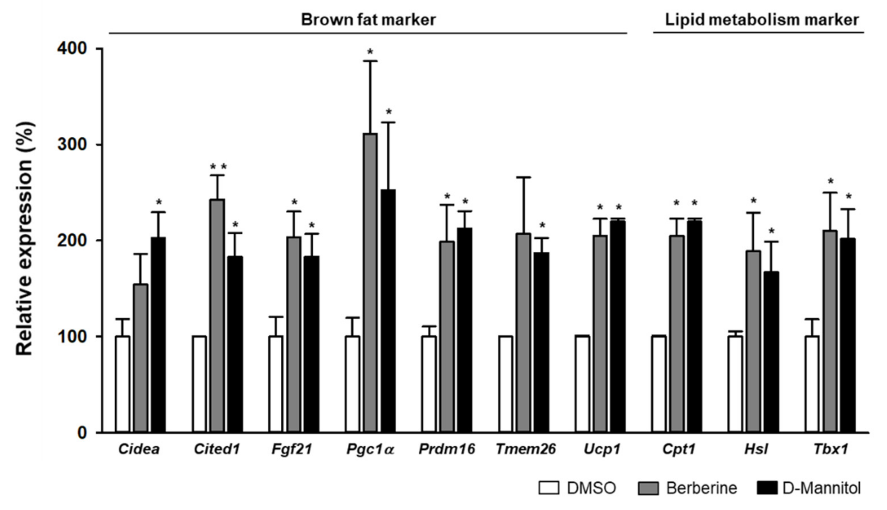 Cells 10 00768 g002 Cells 10 00768 g002