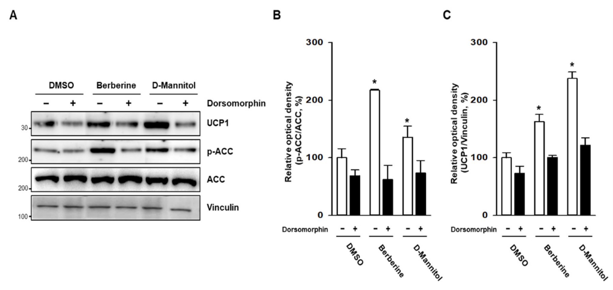 Cells 10 00768 g004 Cells 10 00768 g004