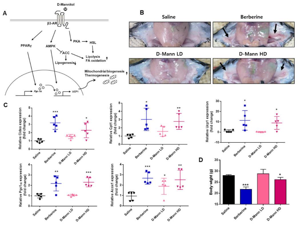 Cells 10 00768 g006 Cells 10 00768 g006
