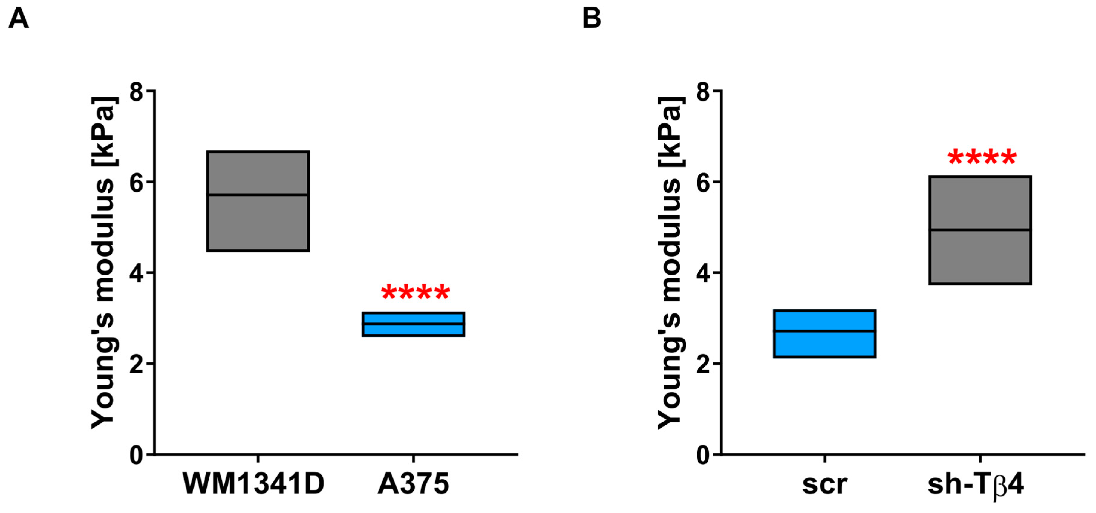Cells 10 00769 g008 Cells 10 00769 g008