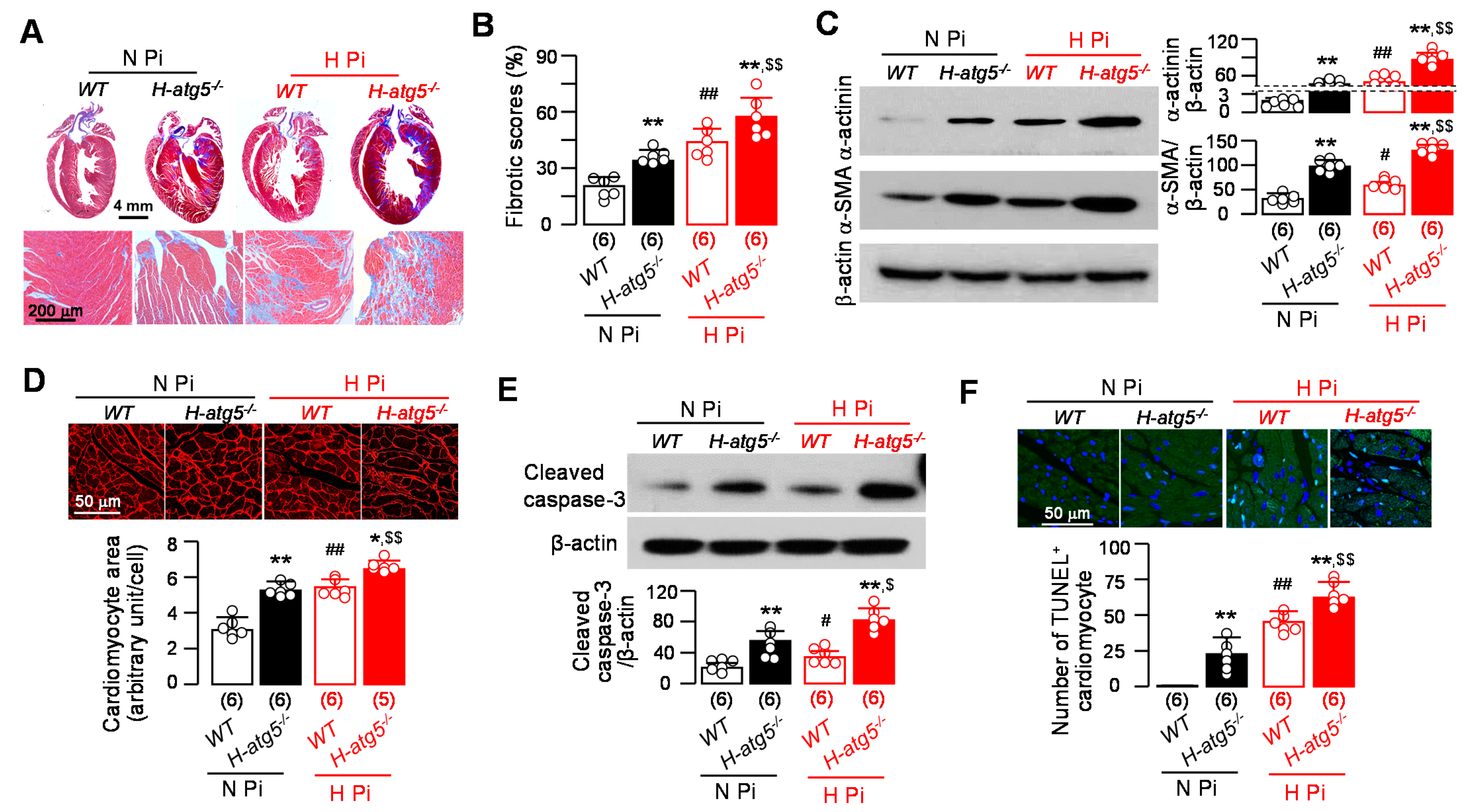 Cells 10 00777 g005