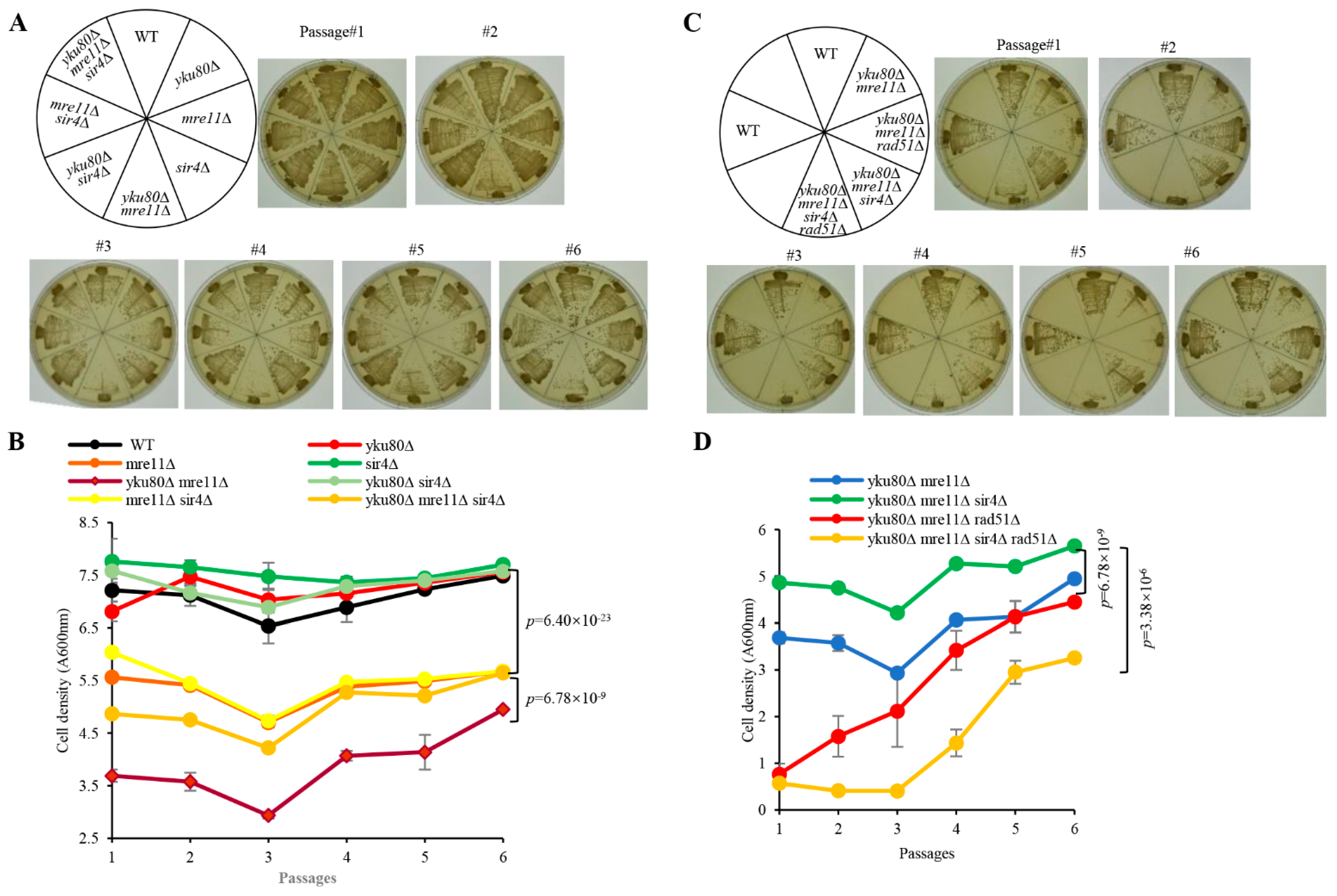 Cells 10 00778 g001 Cells 10 00778 g001