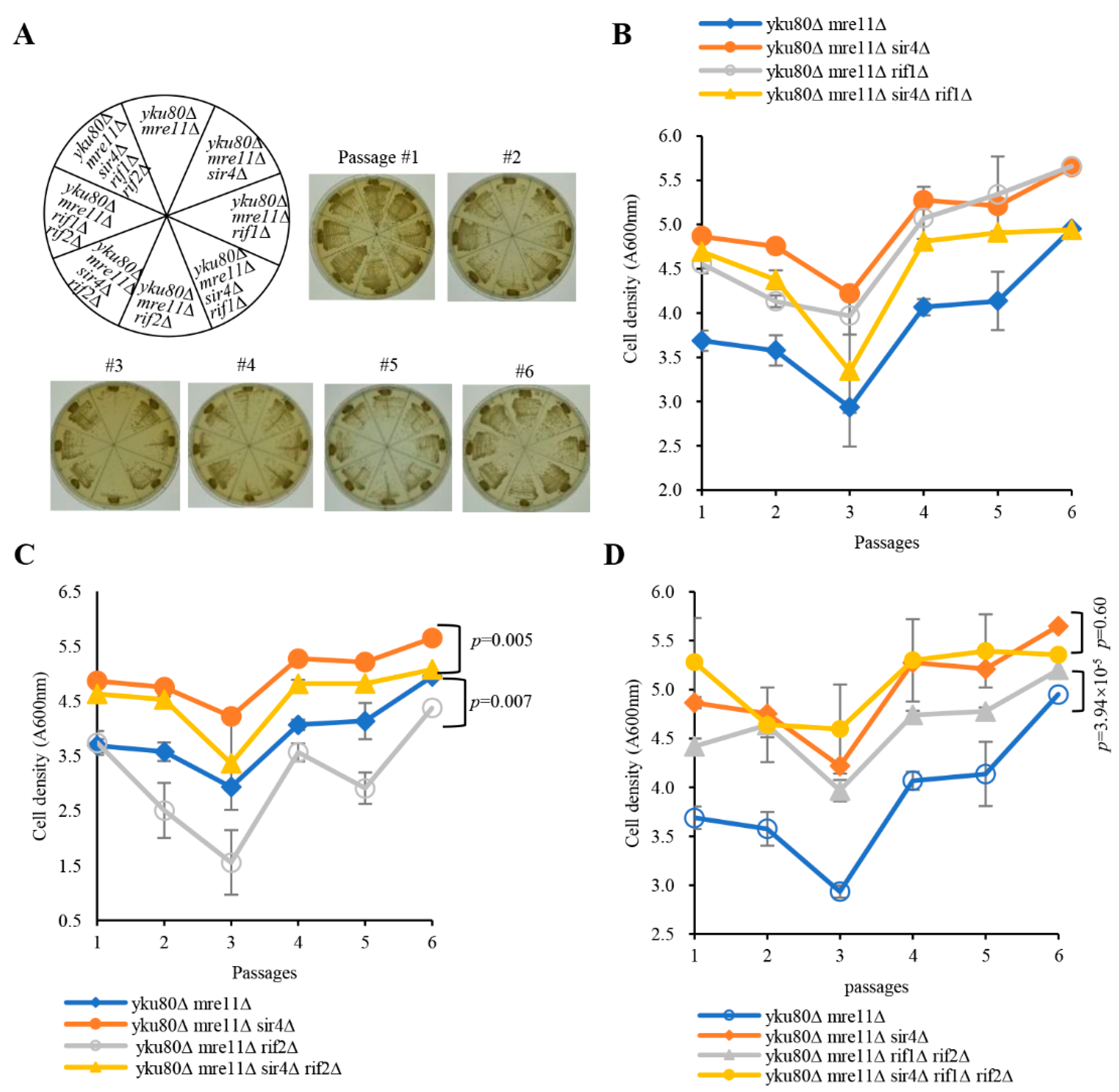 Cells 10 00778 g002 Cells 10 00778 g002