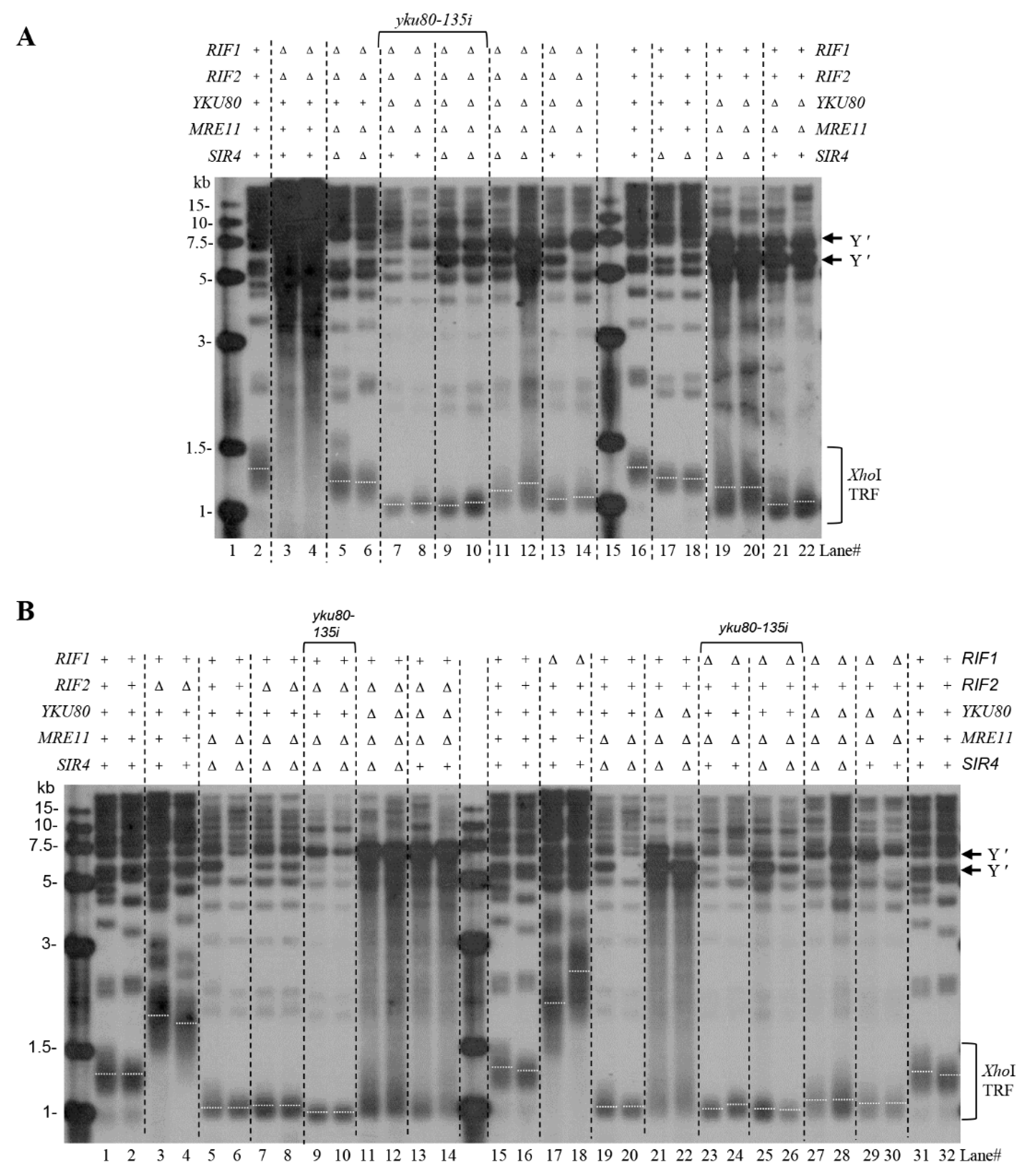 Cells 10 00778 g003 Cells 10 00778 g003