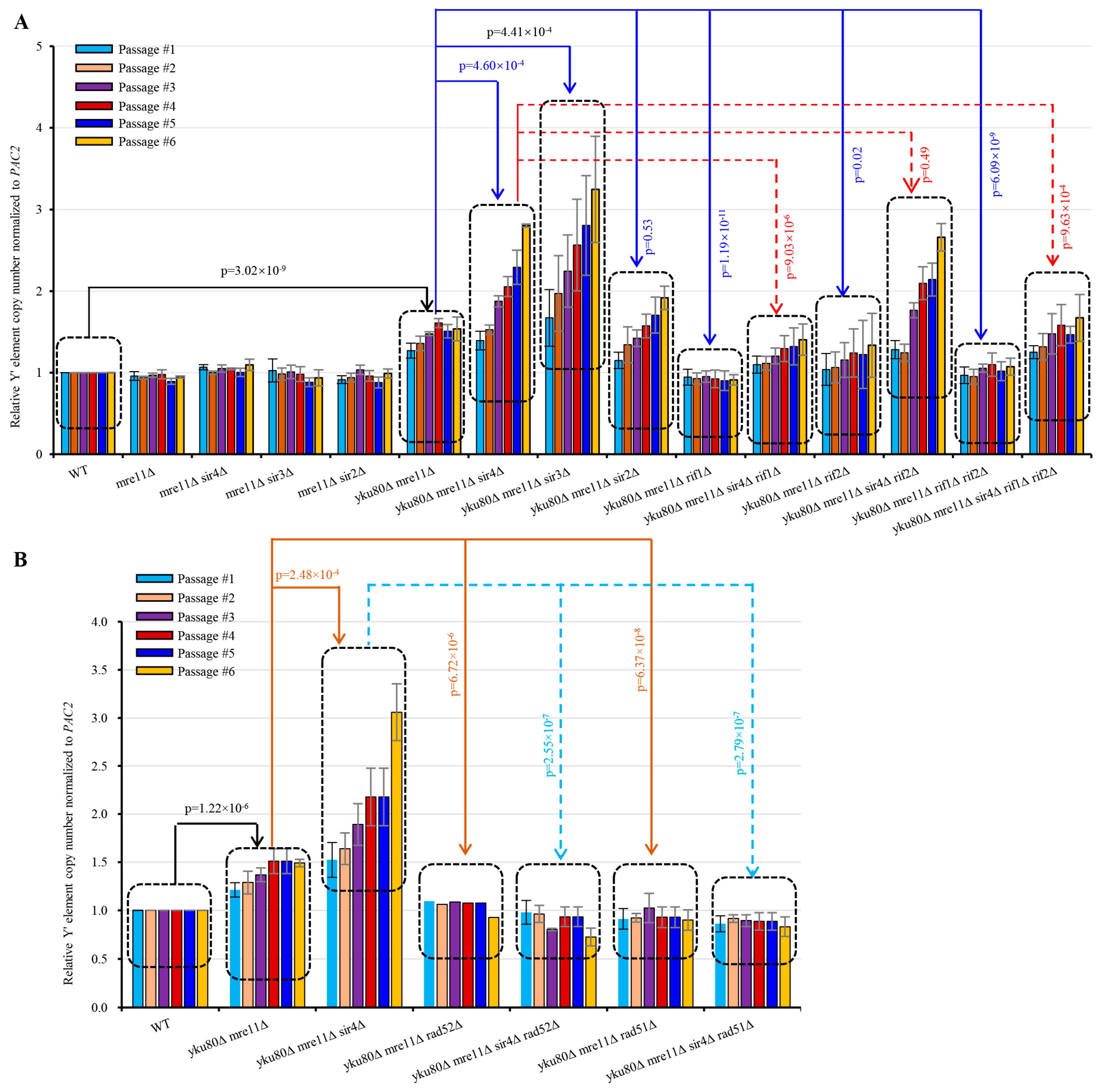 Cells 10 00778 g004 Cells 10 00778 g004