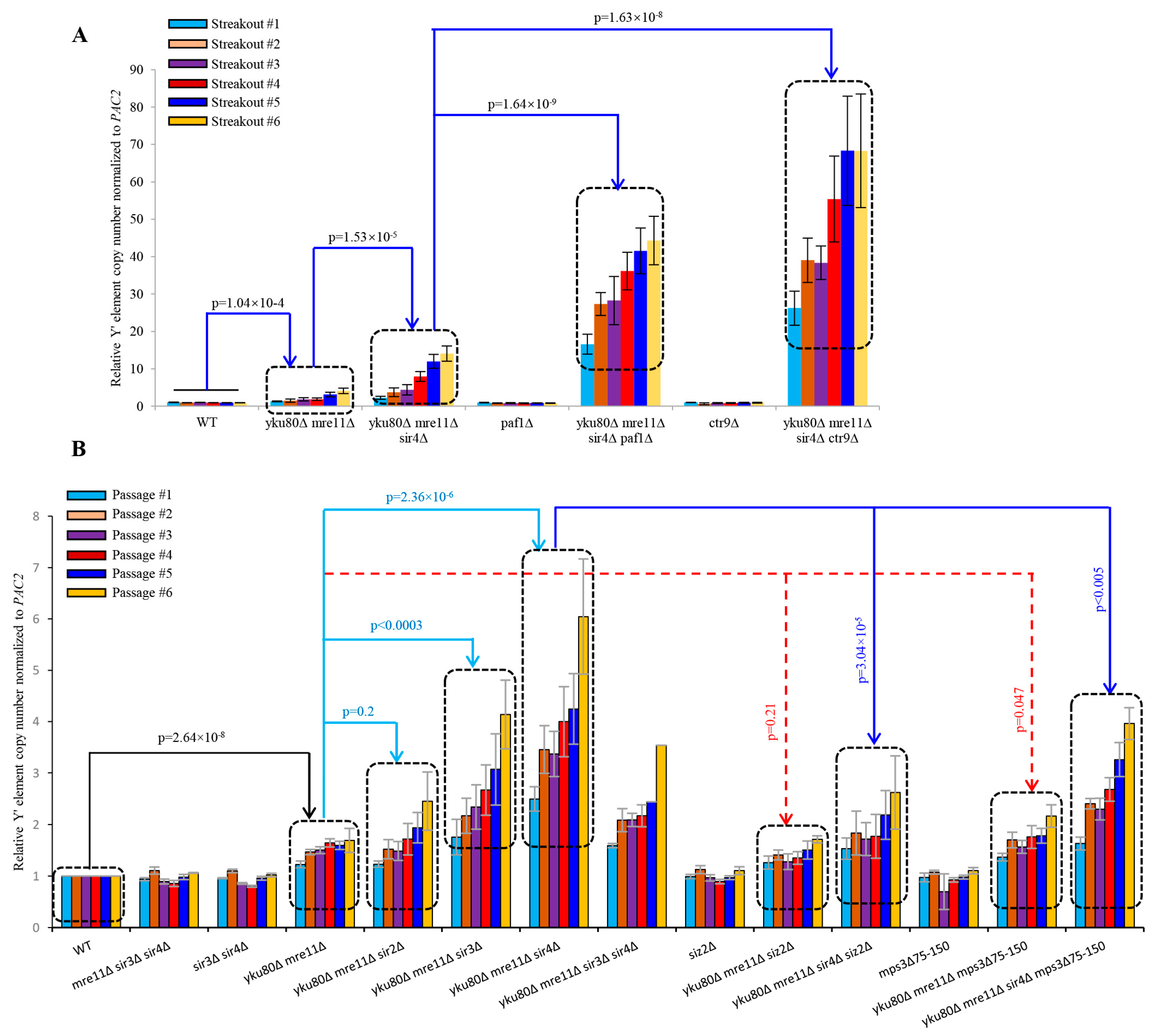 Cells 10 00778 g005 Cells 10 00778 g005