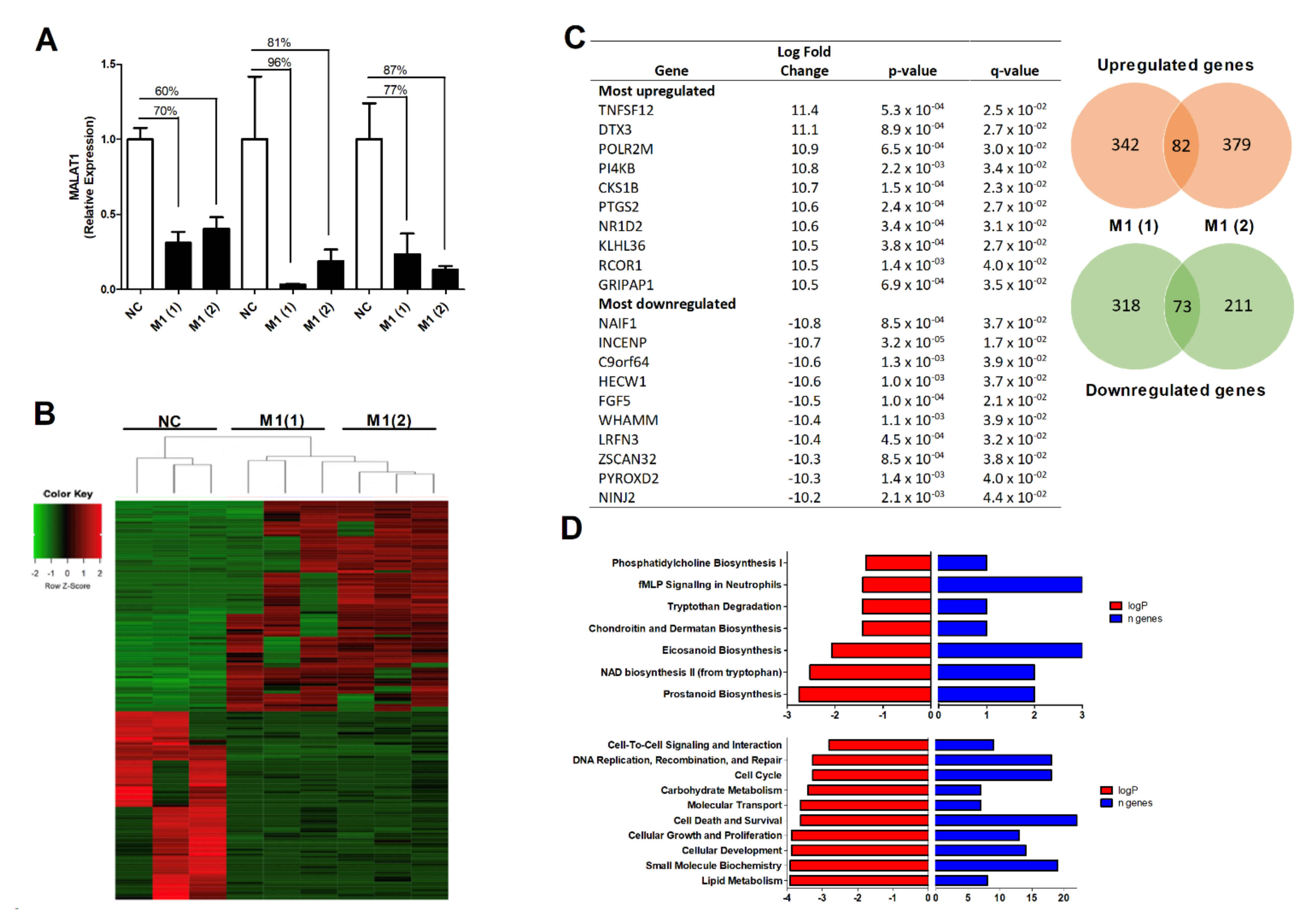 Cells 10 00786 g002 Cells 10 00786 g002