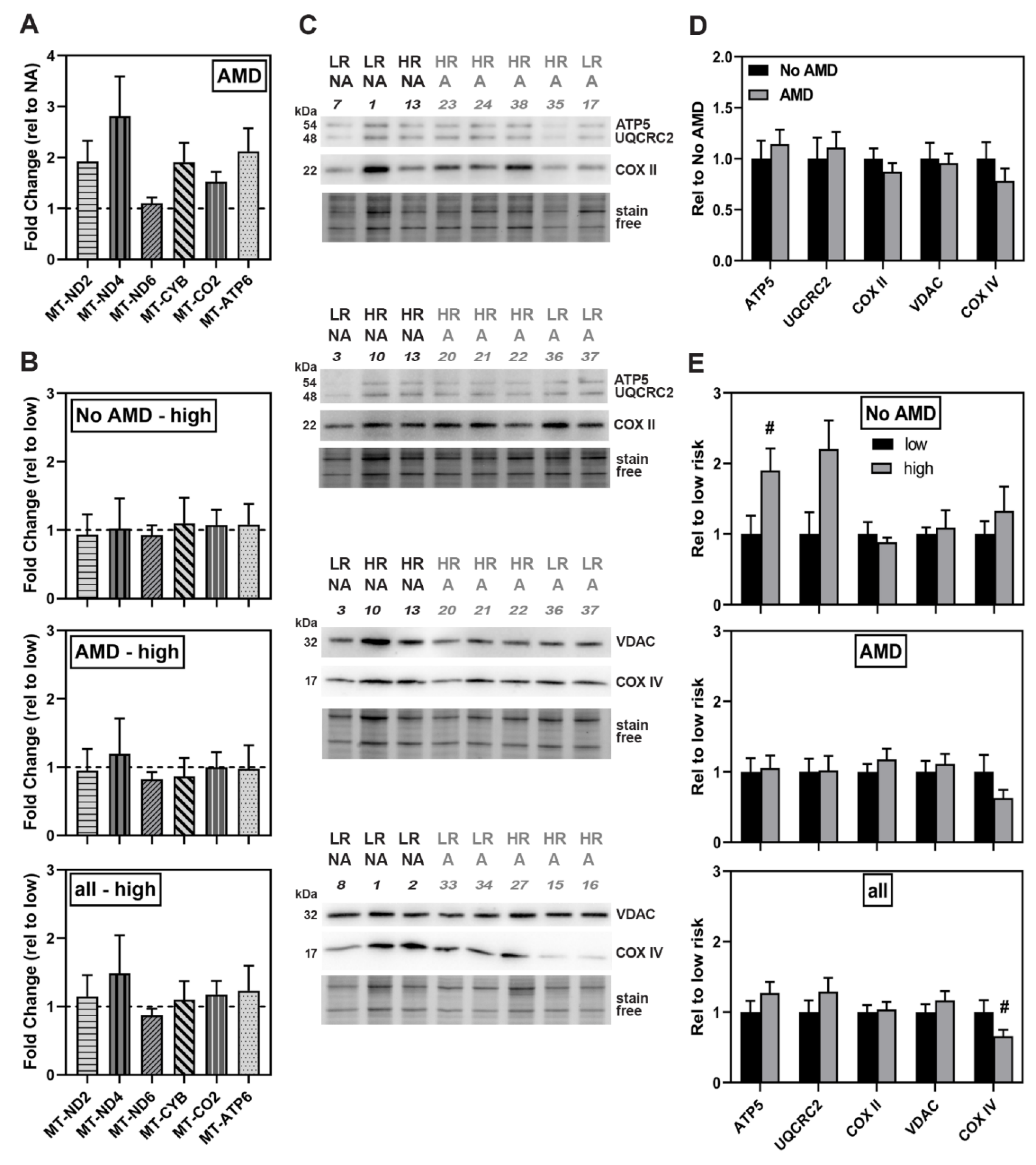 Cells 10 00789 g004 Cells 10 00789 g004