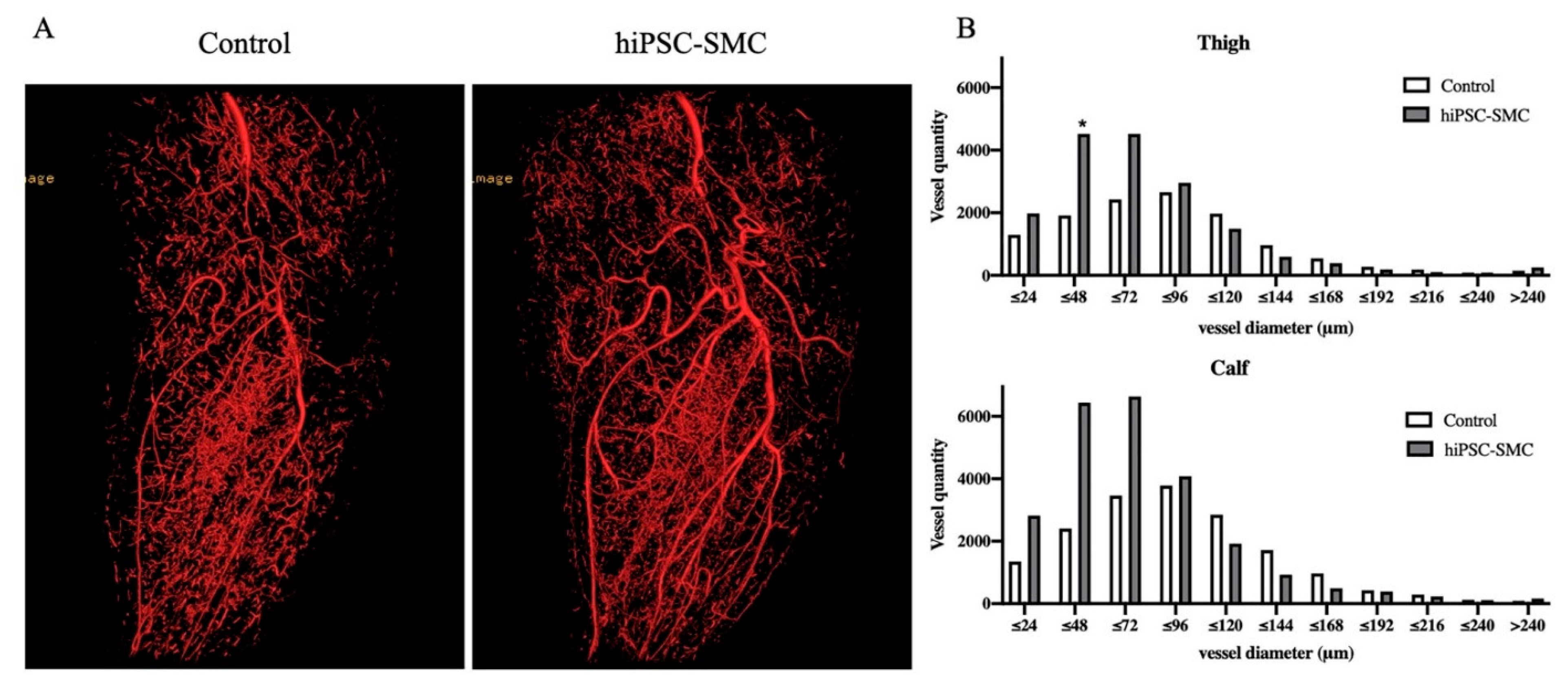 Cells 10 00792 g005 Cells 10 00792 g005