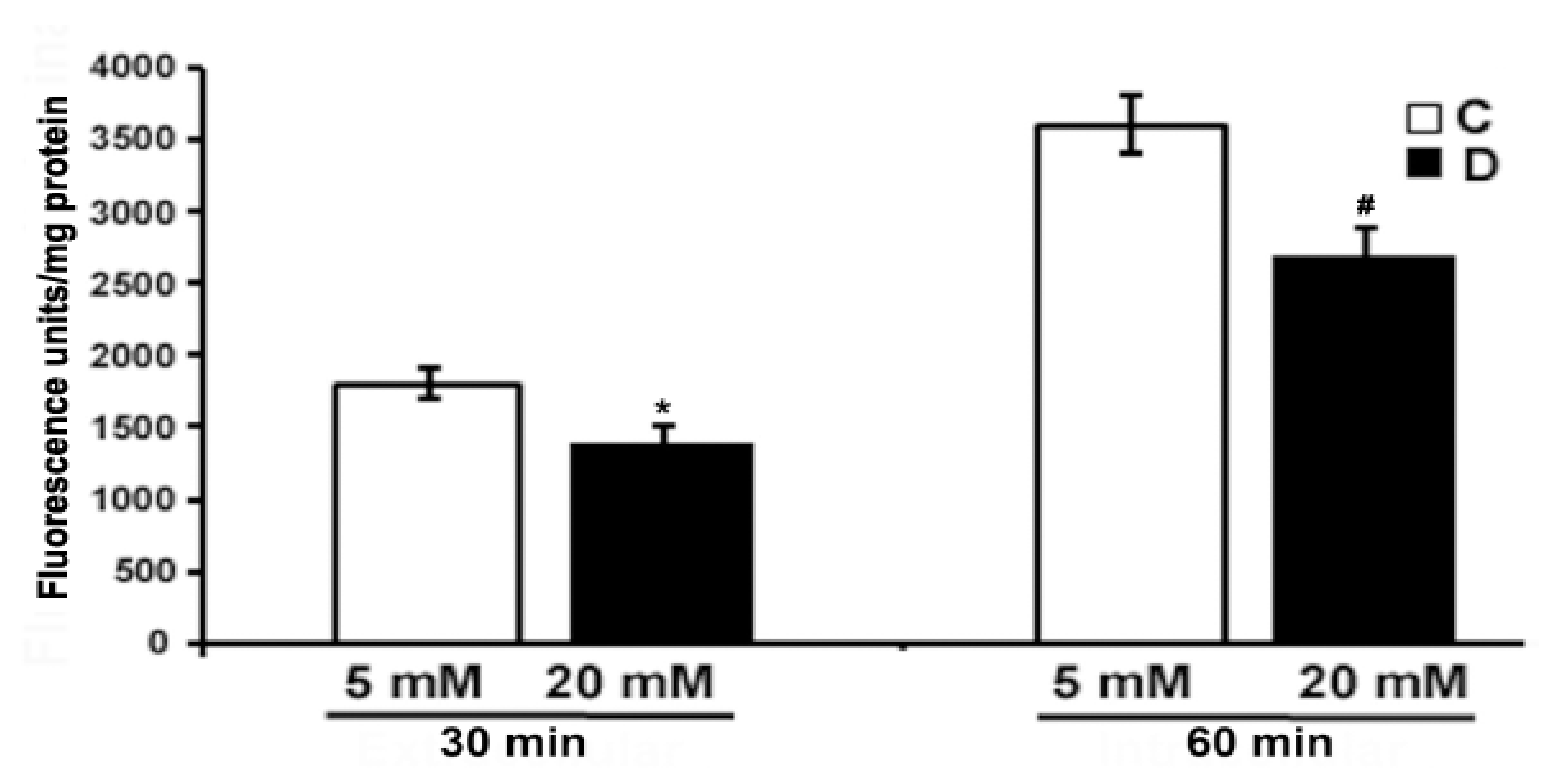 Cells 10 00794 g005 Cells 10 00794 g005