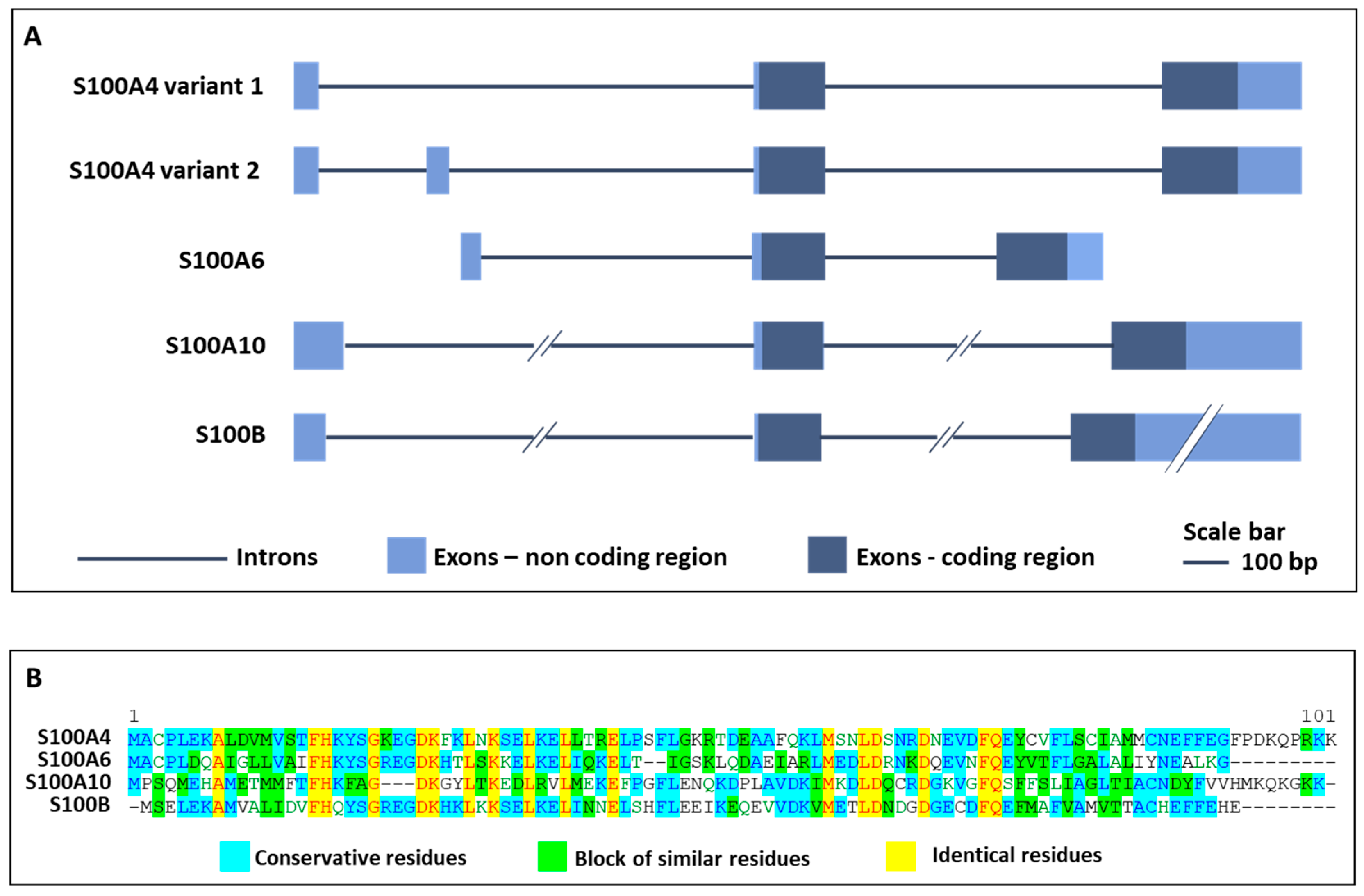 Cells 10 00798 g001 Cells 10 00798 g001