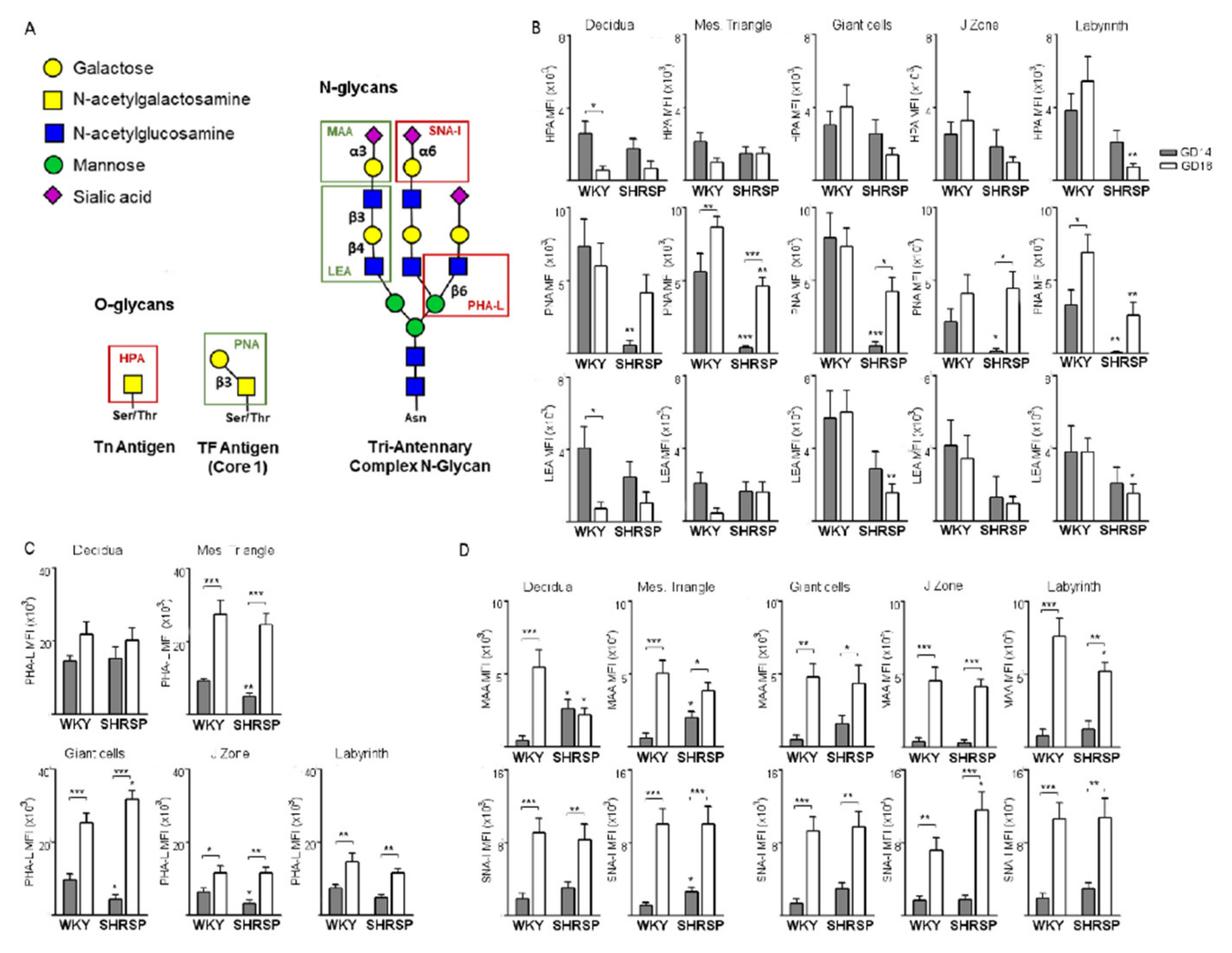 Cells 10 00800 g004 Cells 10 00800 g004