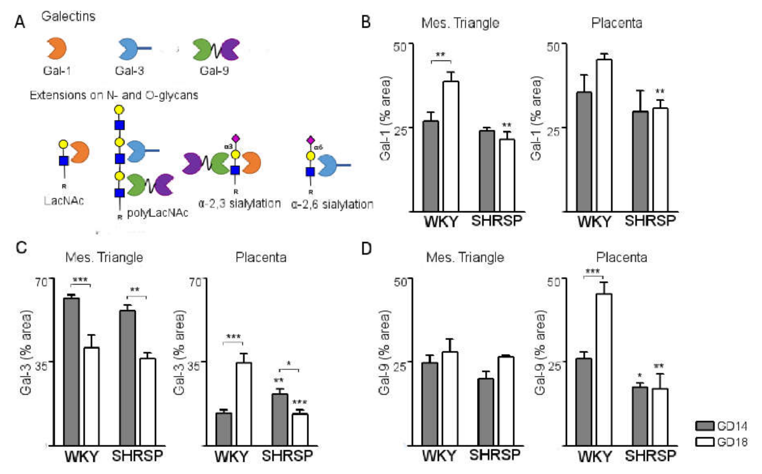 Cells 10 00800 g005 Cells 10 00800 g005