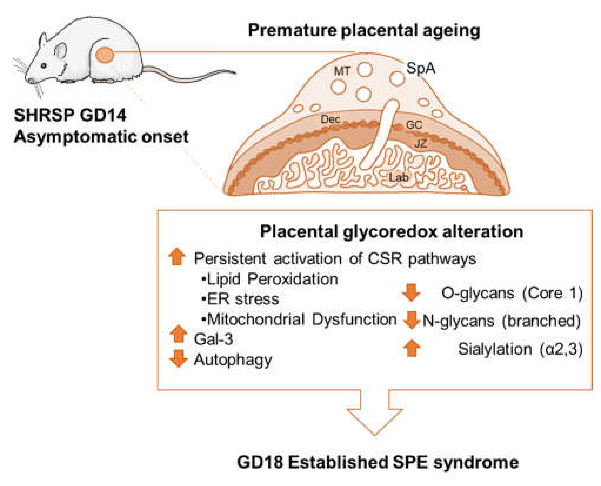Cells 10 00800 g006 Cells 10 00800 g006