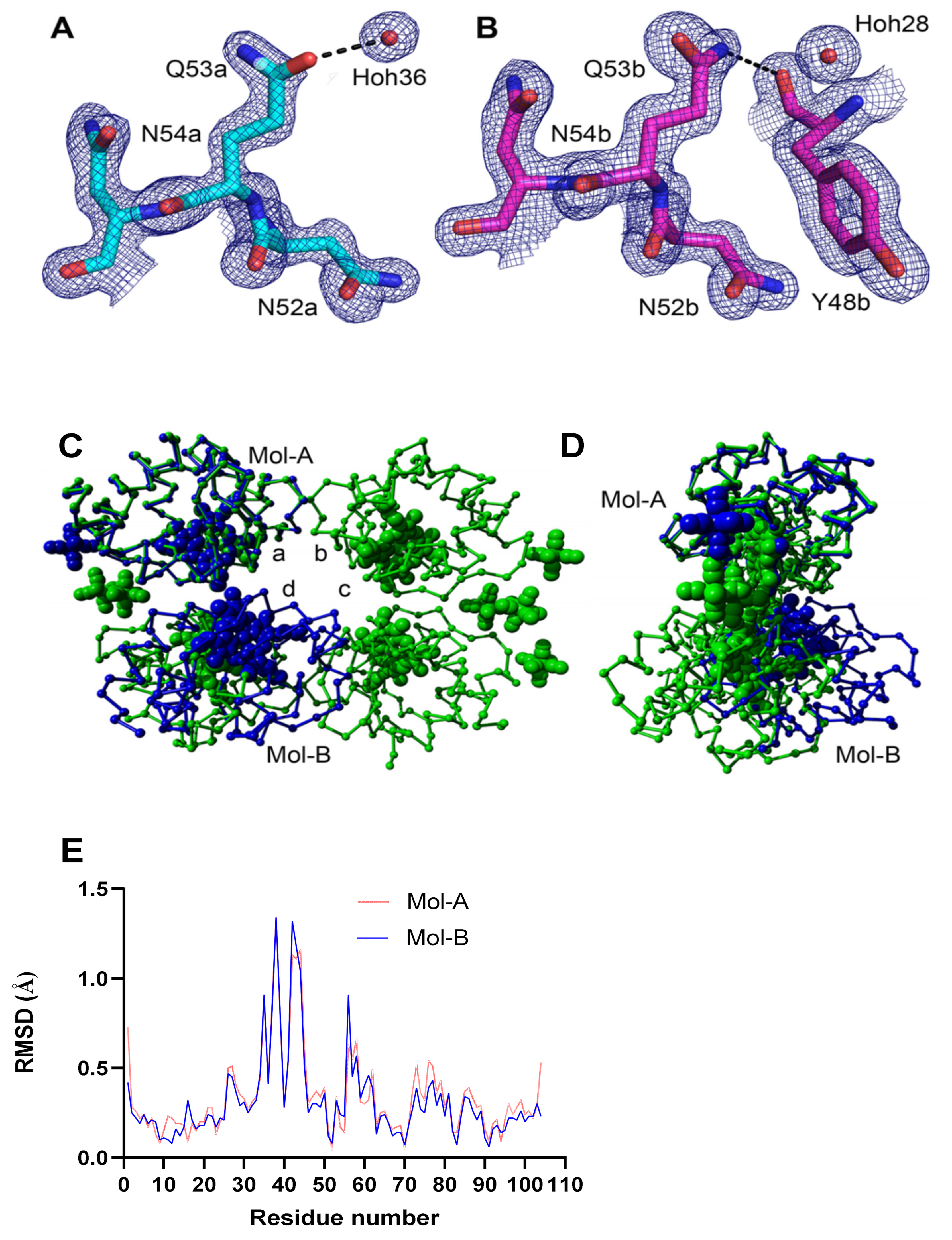 Cells 10 00802 g004 Cells 10 00802 g004