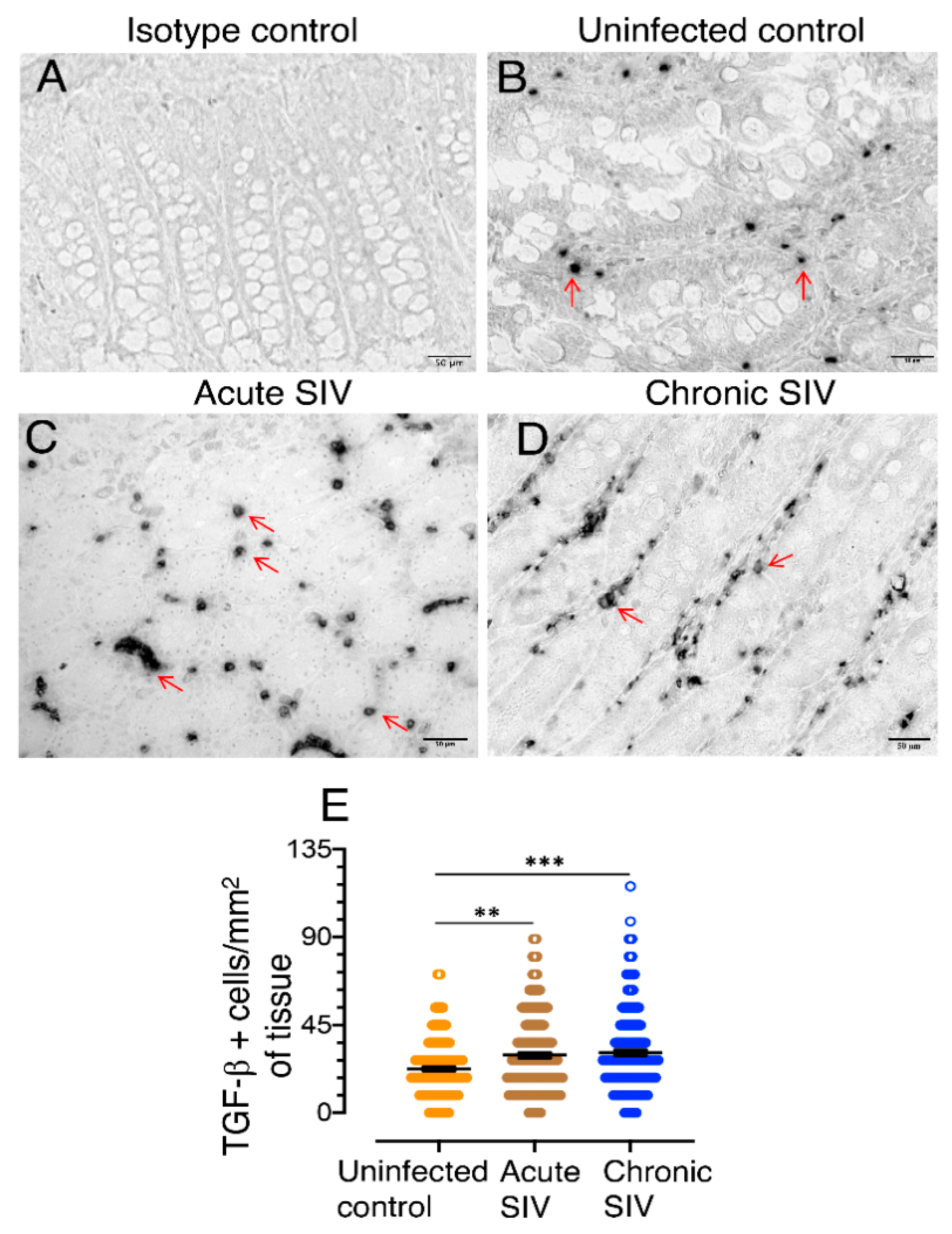 Cells 10 00806 g001 Cells 10 00806 g001