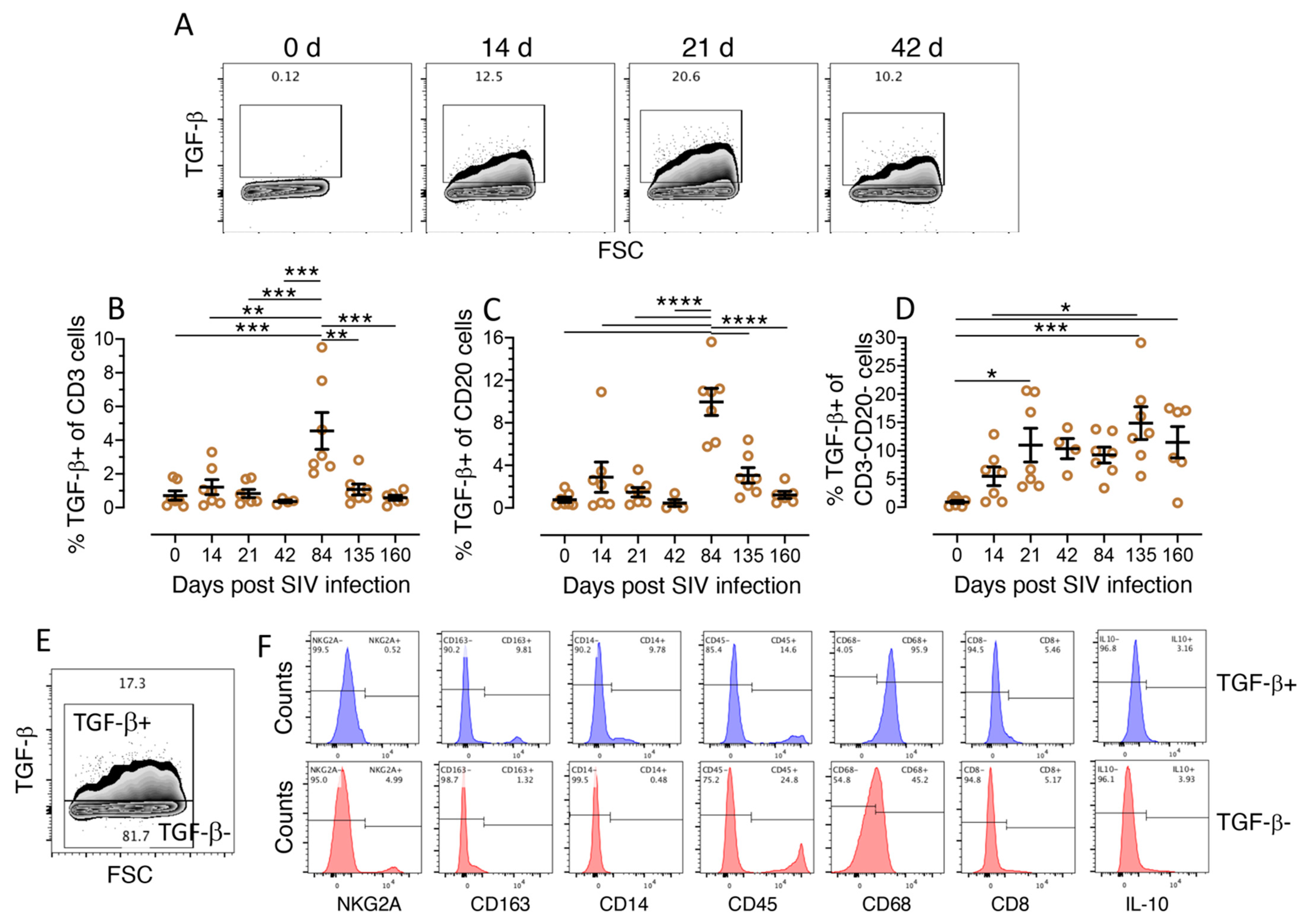 Cells 10 00806 g002 Cells 10 00806 g002