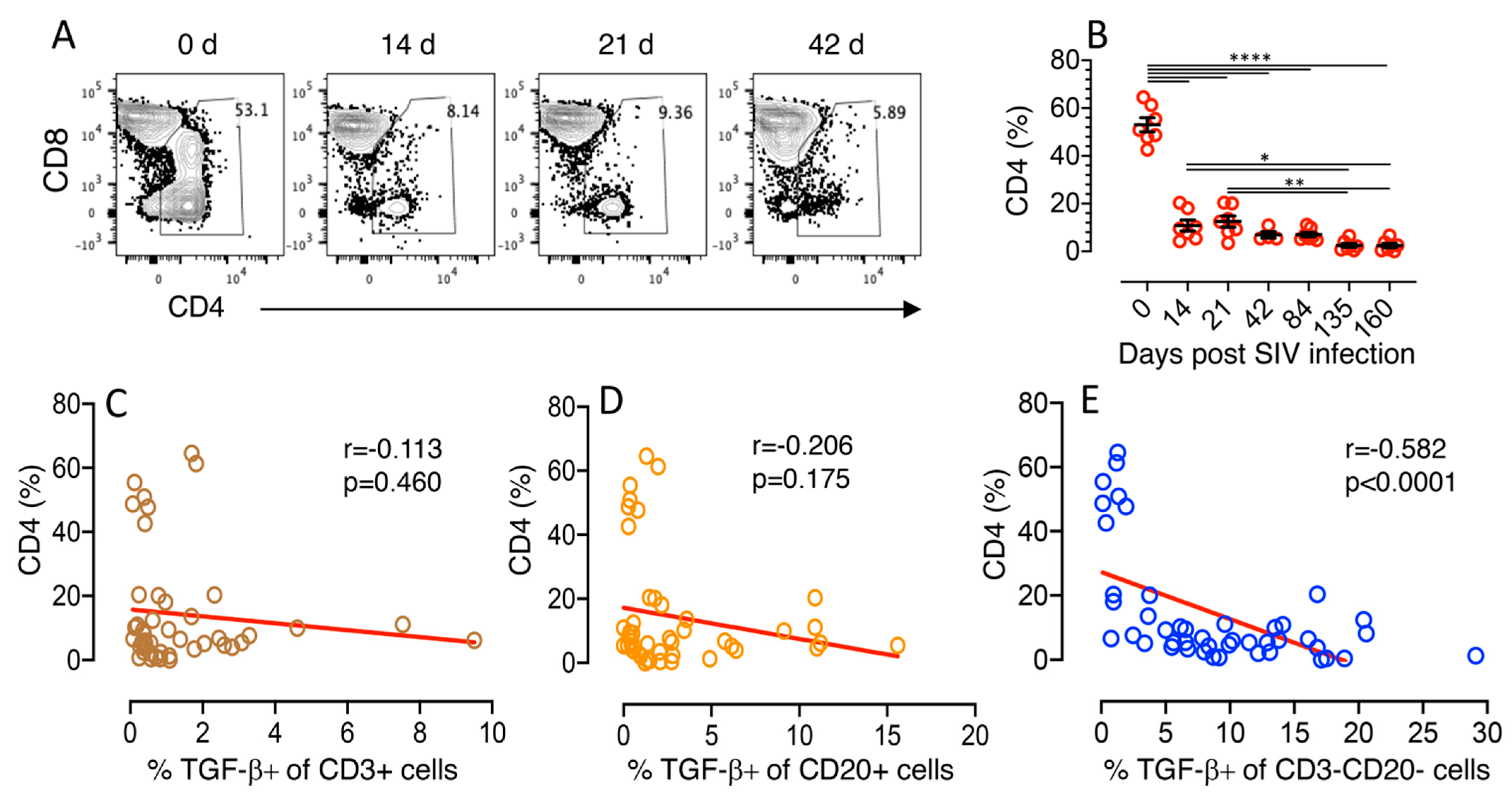 Cells 10 00806 g003 Cells 10 00806 g003