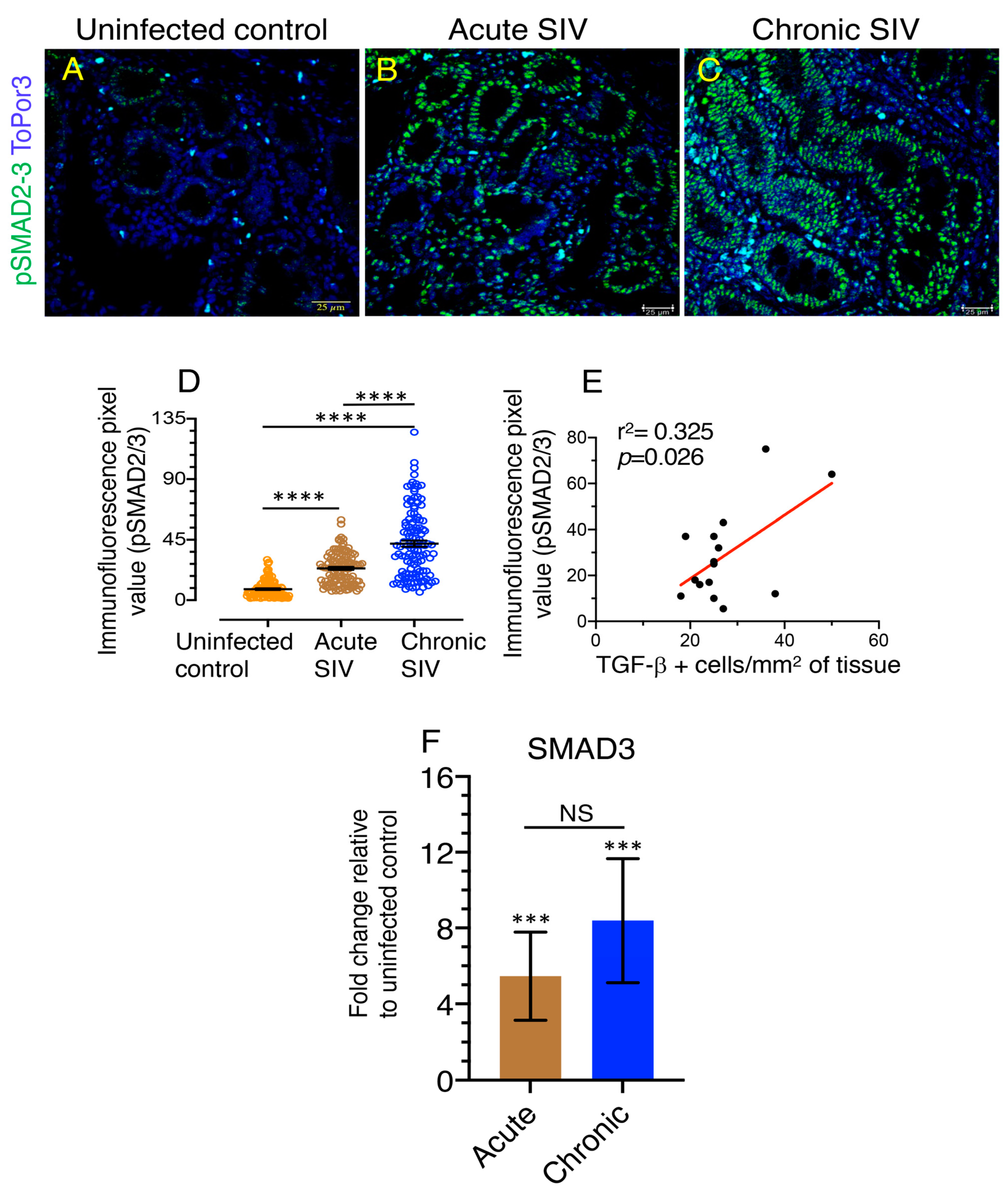 Cells 10 00806 g005 Cells 10 00806 g005