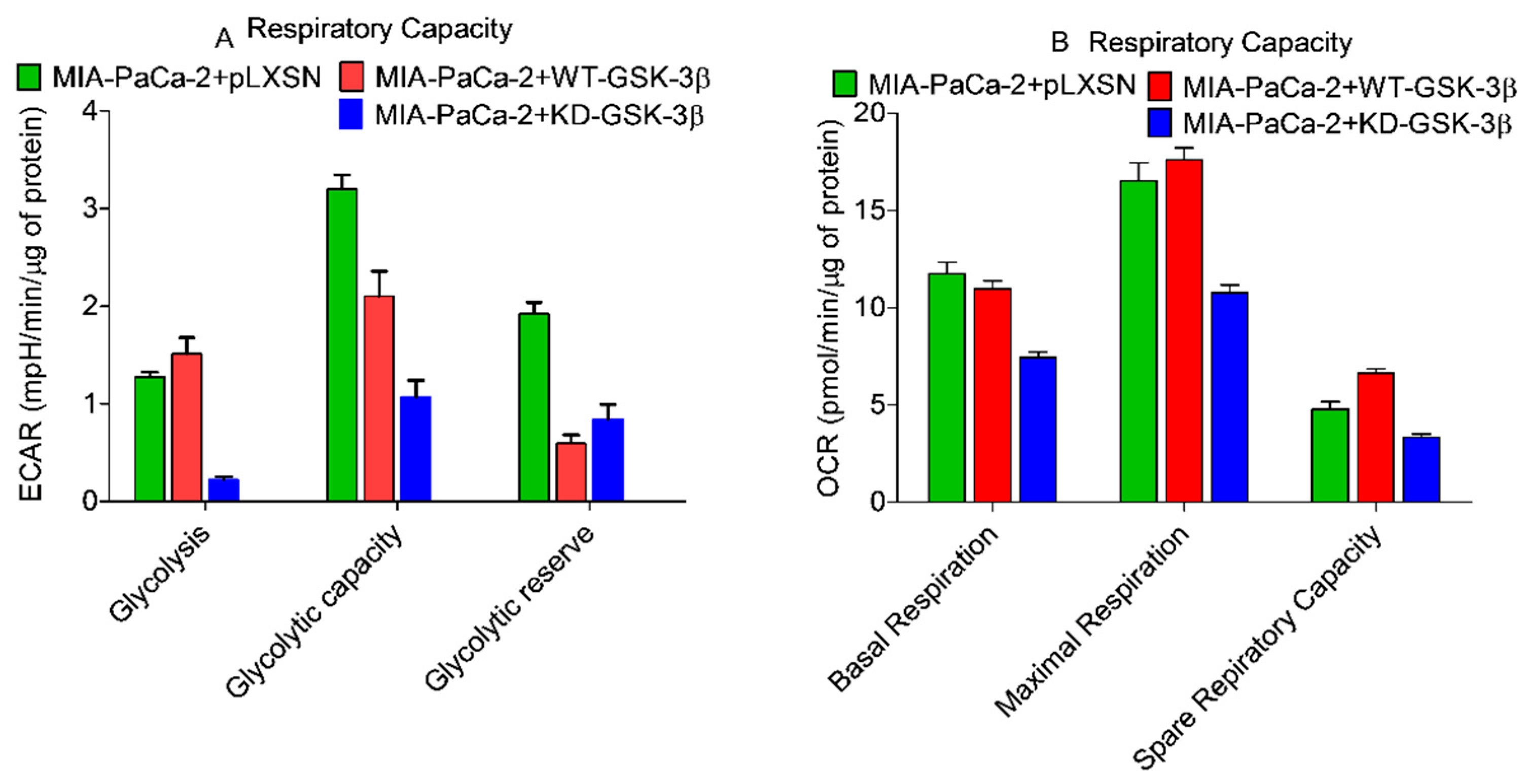 Cells 10 00816 g014 Cells 10 00816 g014