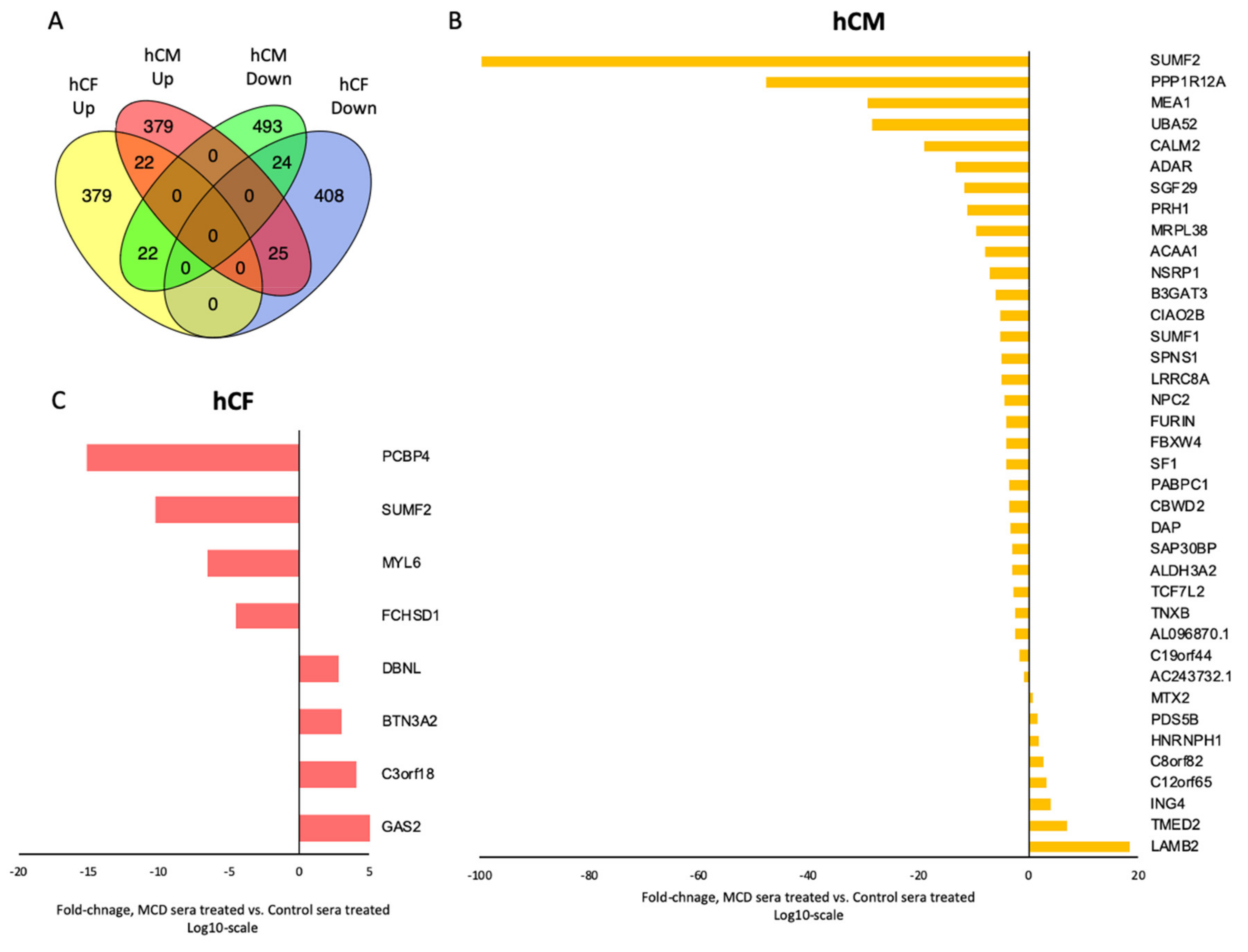 Cells 10 00818 g002 Cells 10 00818 g002