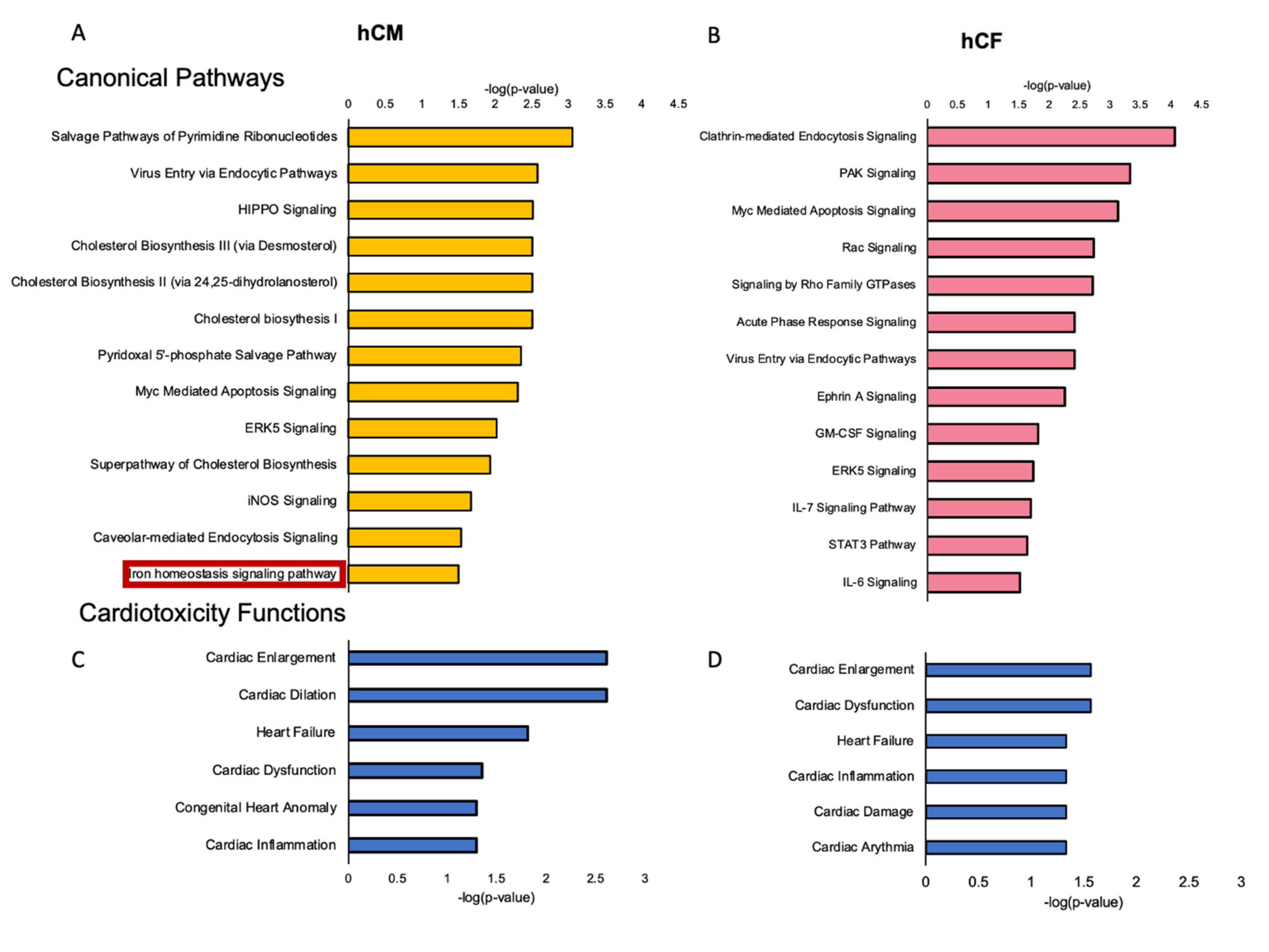 Cells 10 00818 g003 Cells 10 00818 g003