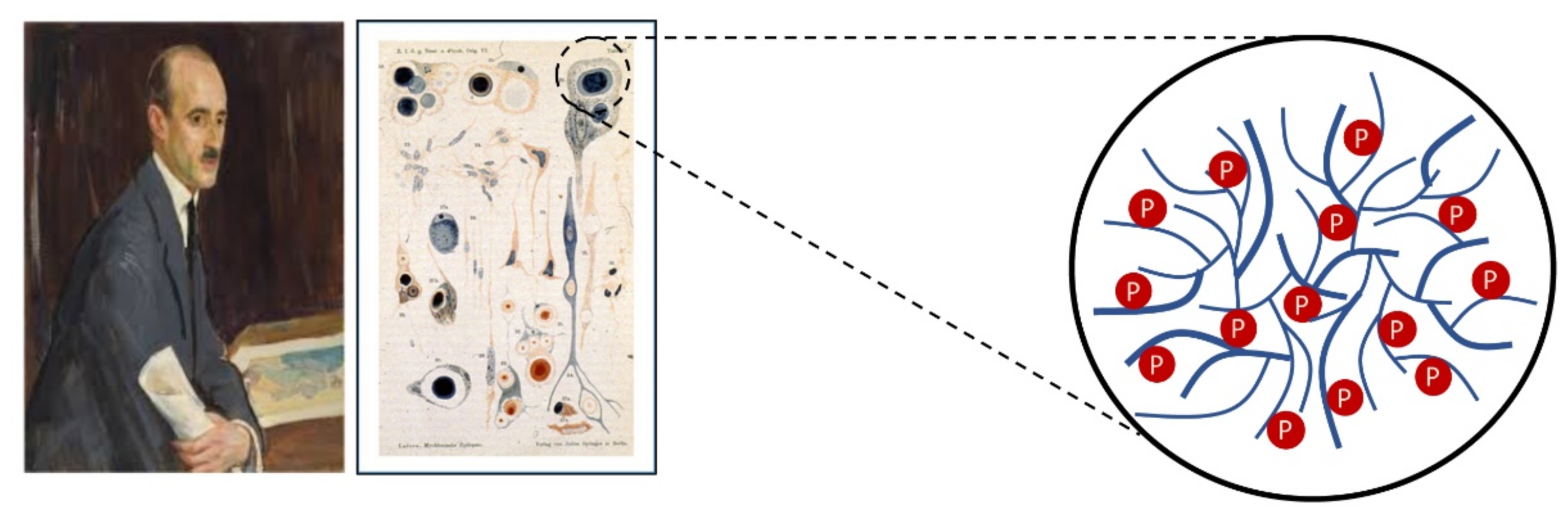 Cells 10 00820 g002 Cells 10 00820 g002