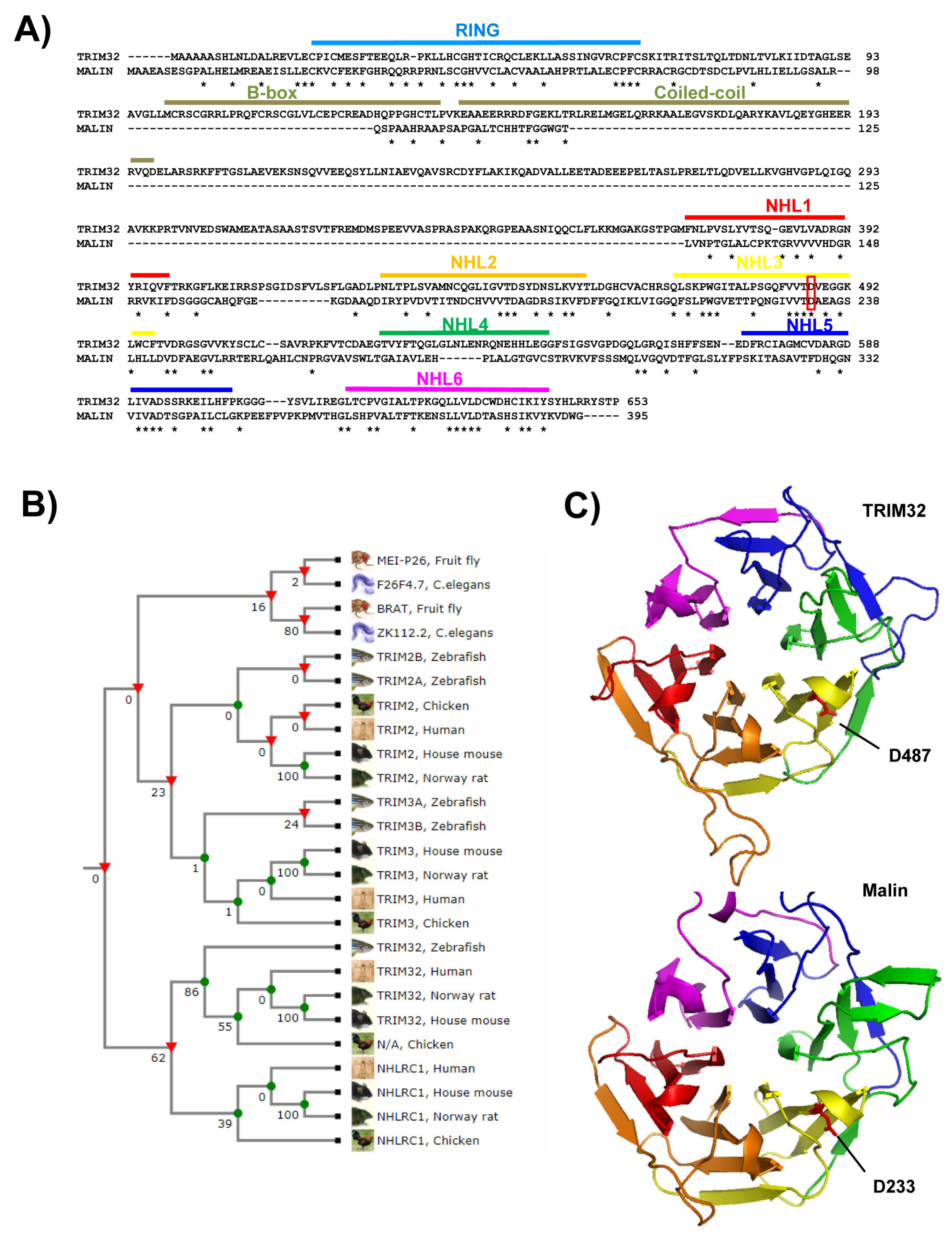 Cells 10 00820 g003 Cells 10 00820 g003