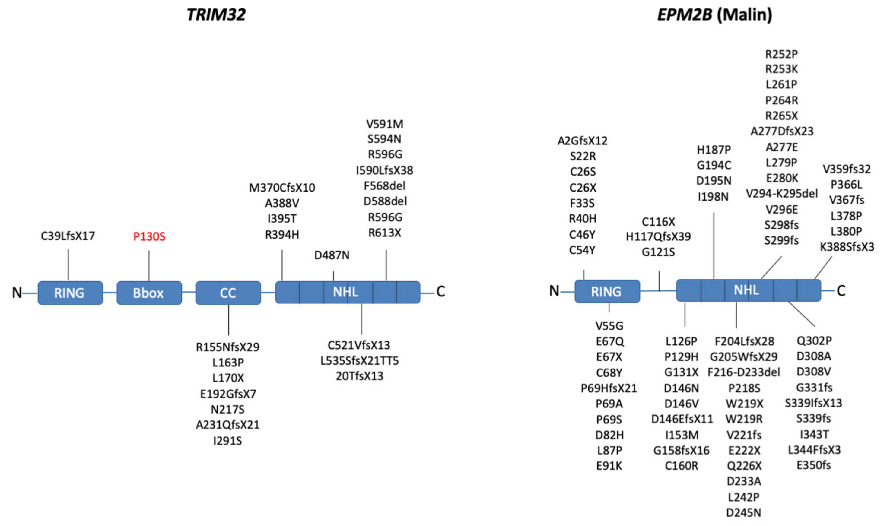 Cells 10 00820 g004 Cells 10 00820 g004
