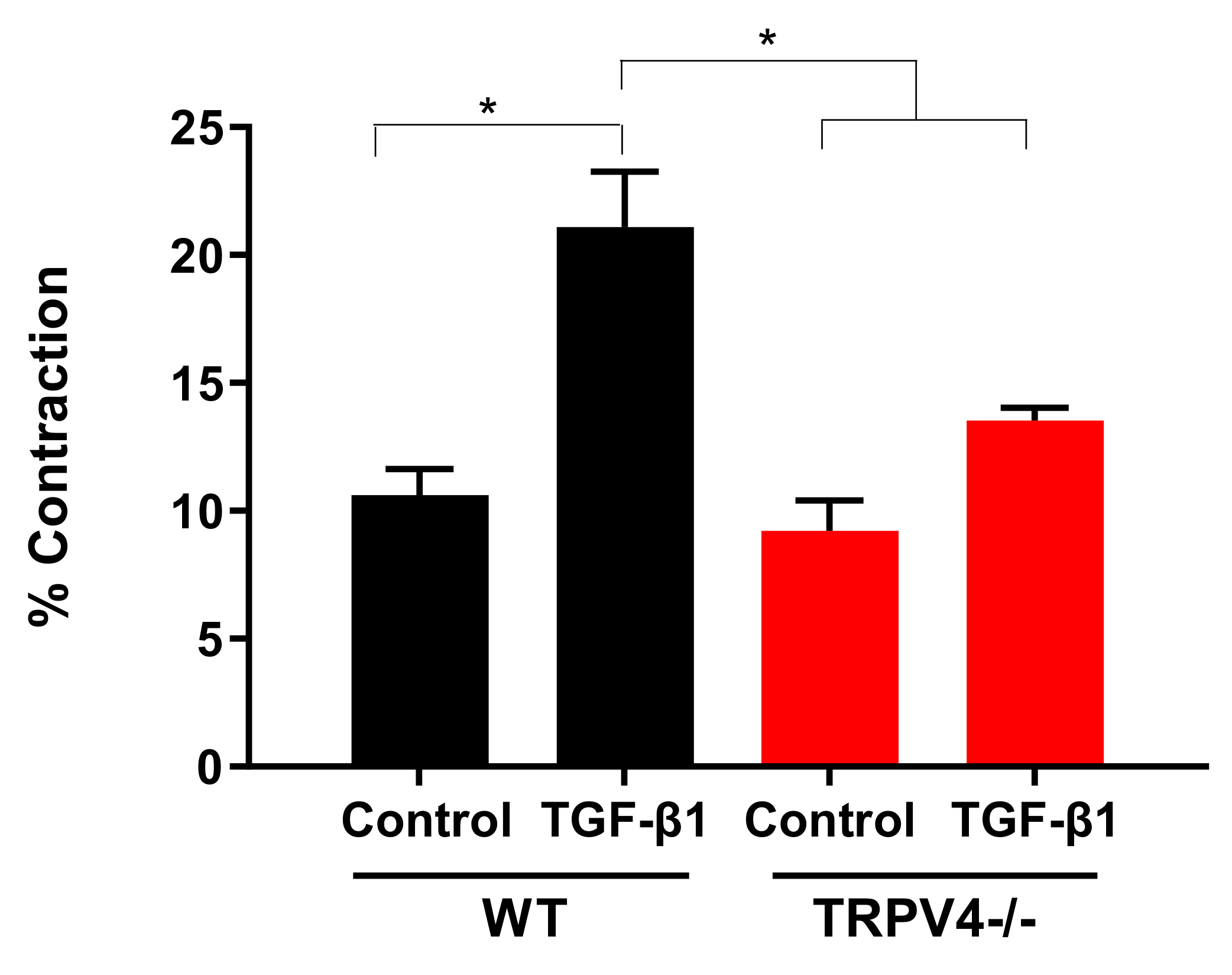 Cells 10 00822 g002 Cells 10 00822 g002