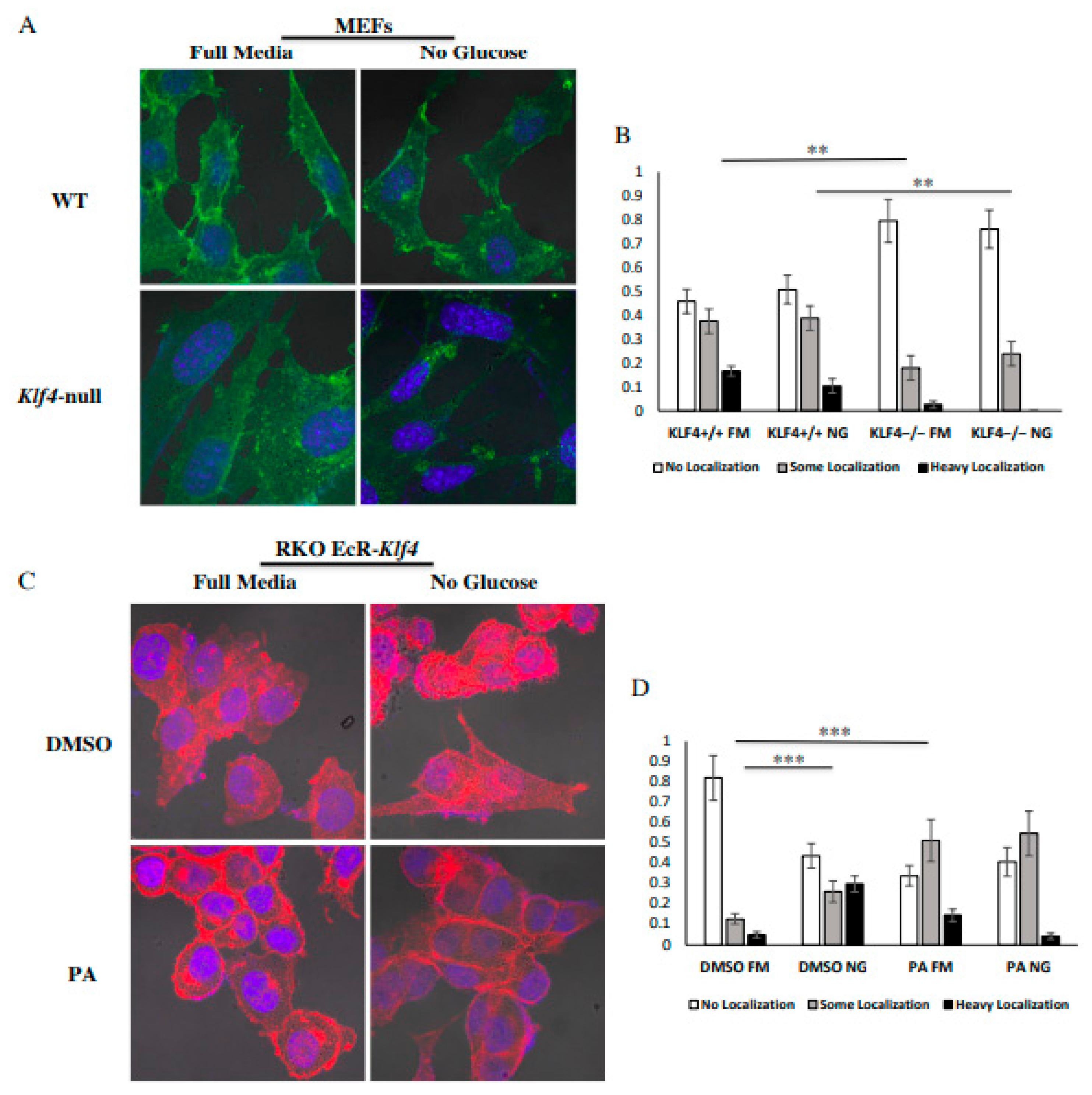 Cells 10 00830 g003 Cells 10 00830 g003