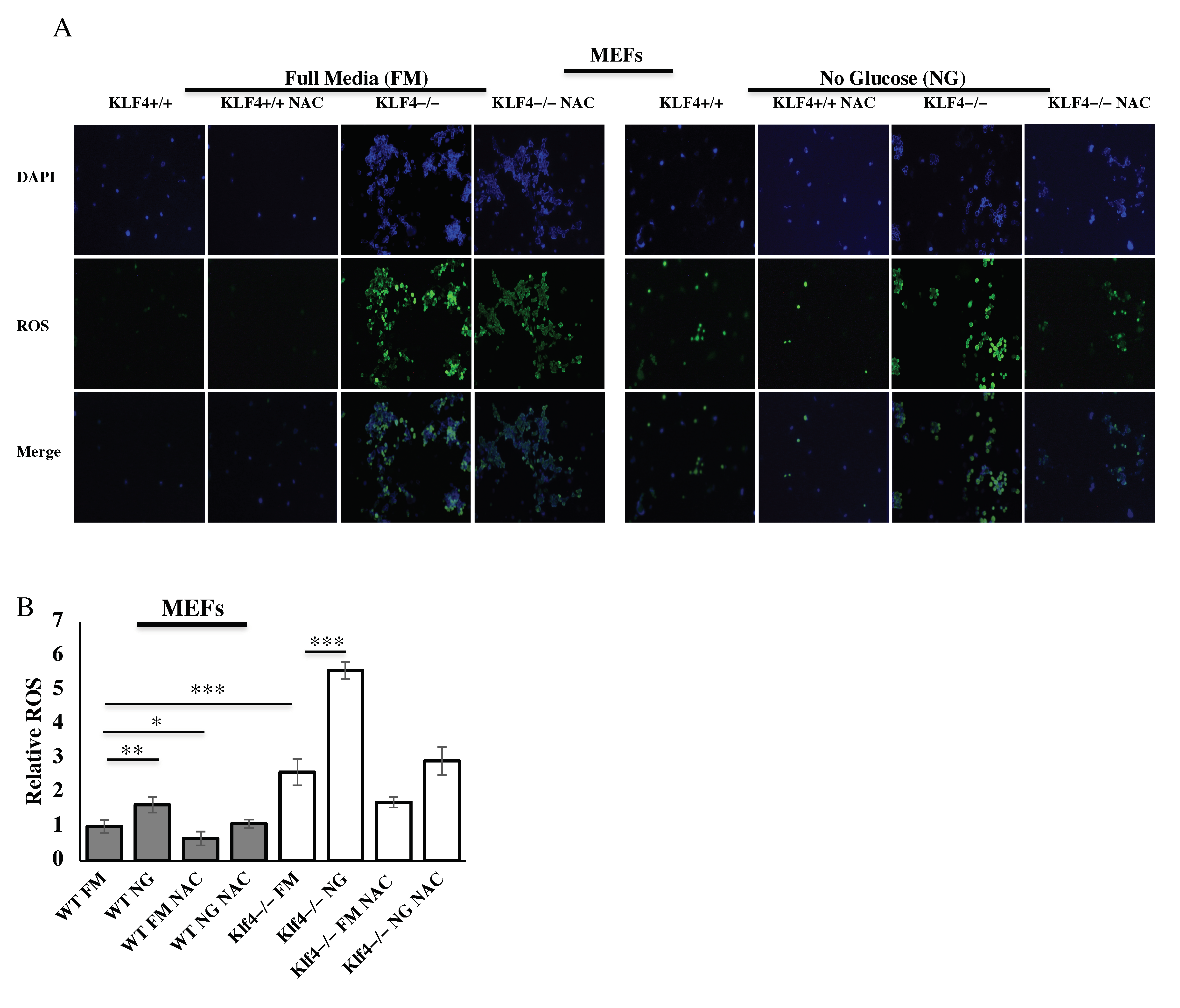 Cells 10 00830 g005 Cells 10 00830 g005
