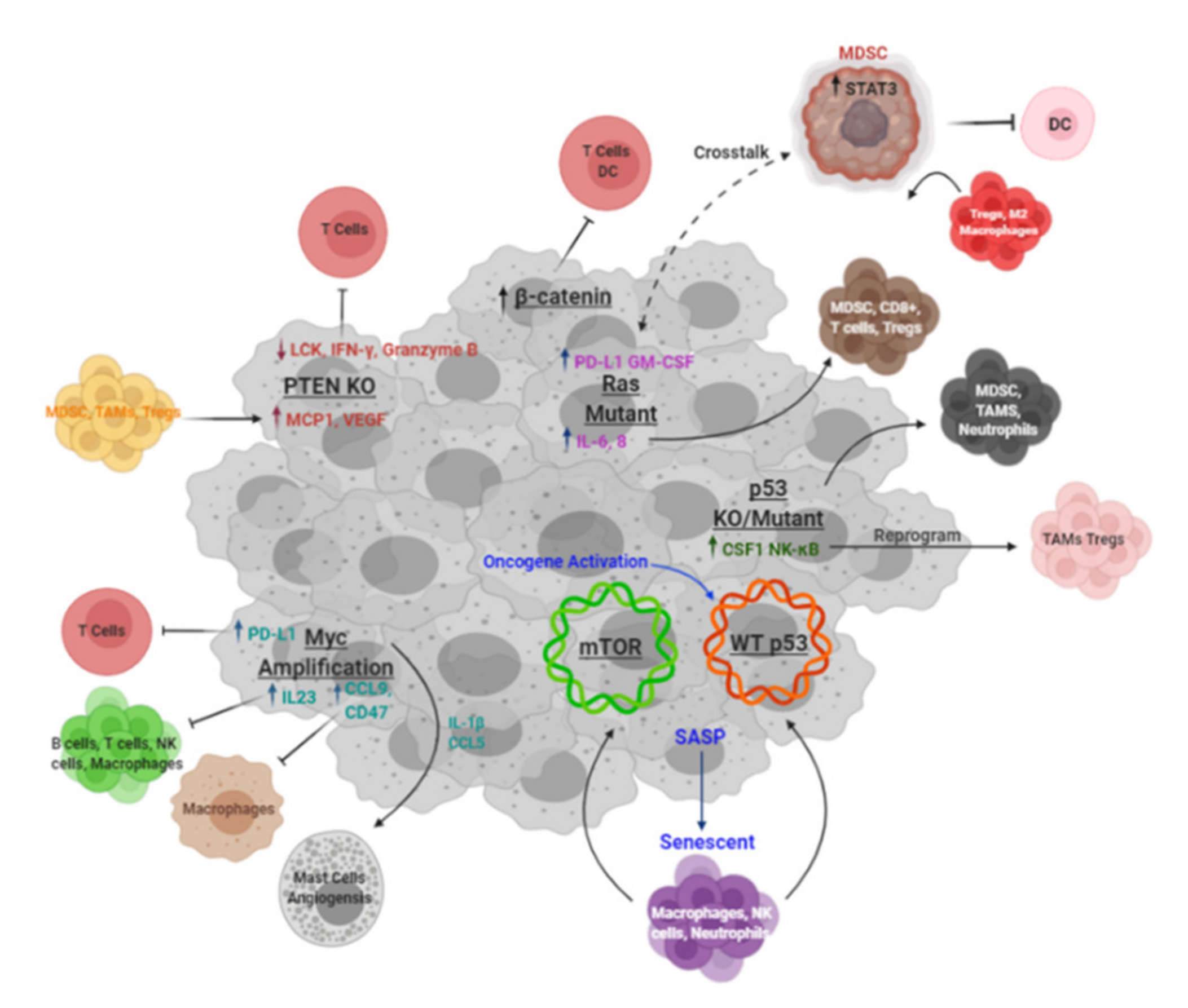 Cells 10 00831 g002 Cells 10 00831 g002