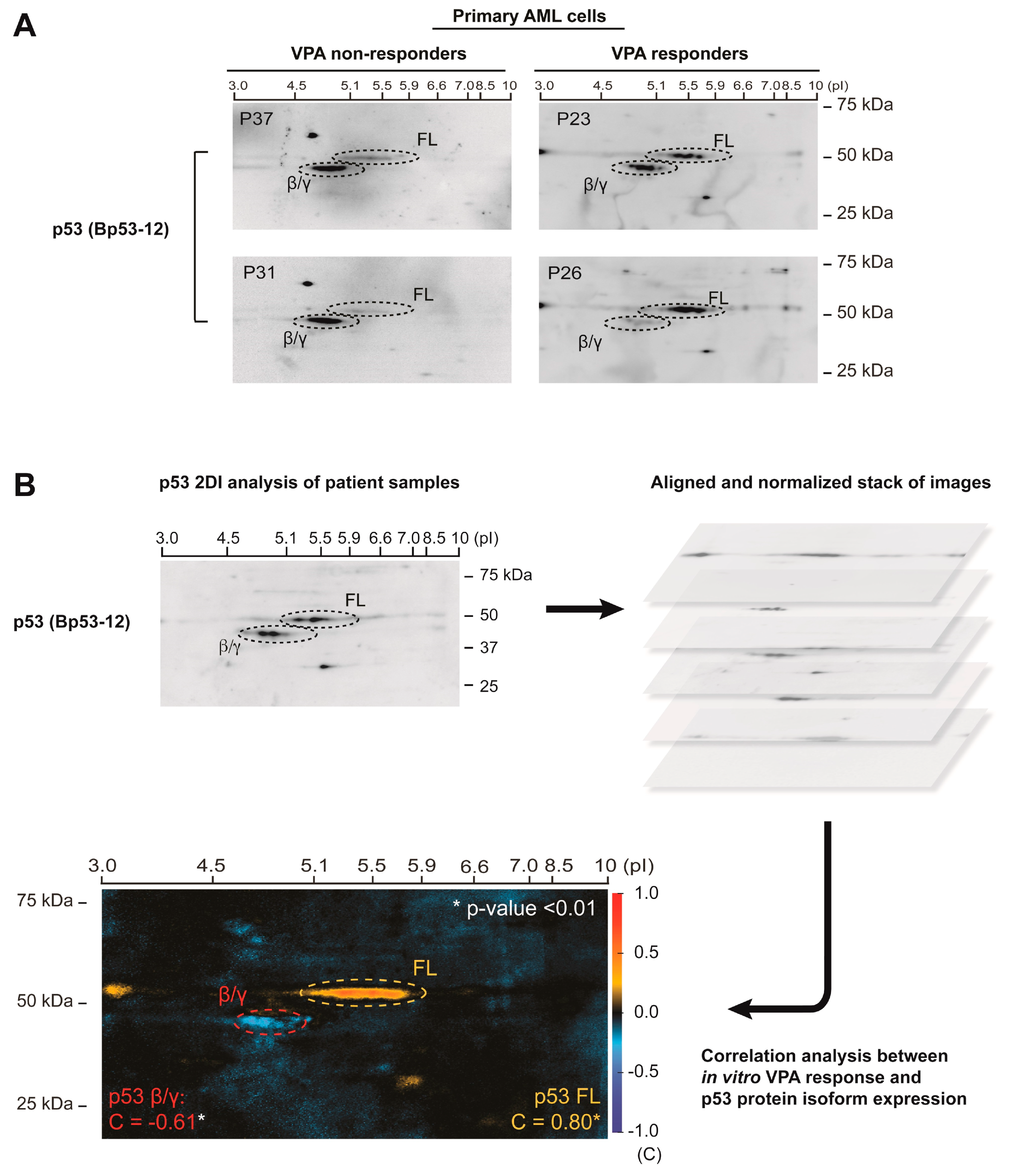 Cells 10 00833 g001 Cells 10 00833 g001