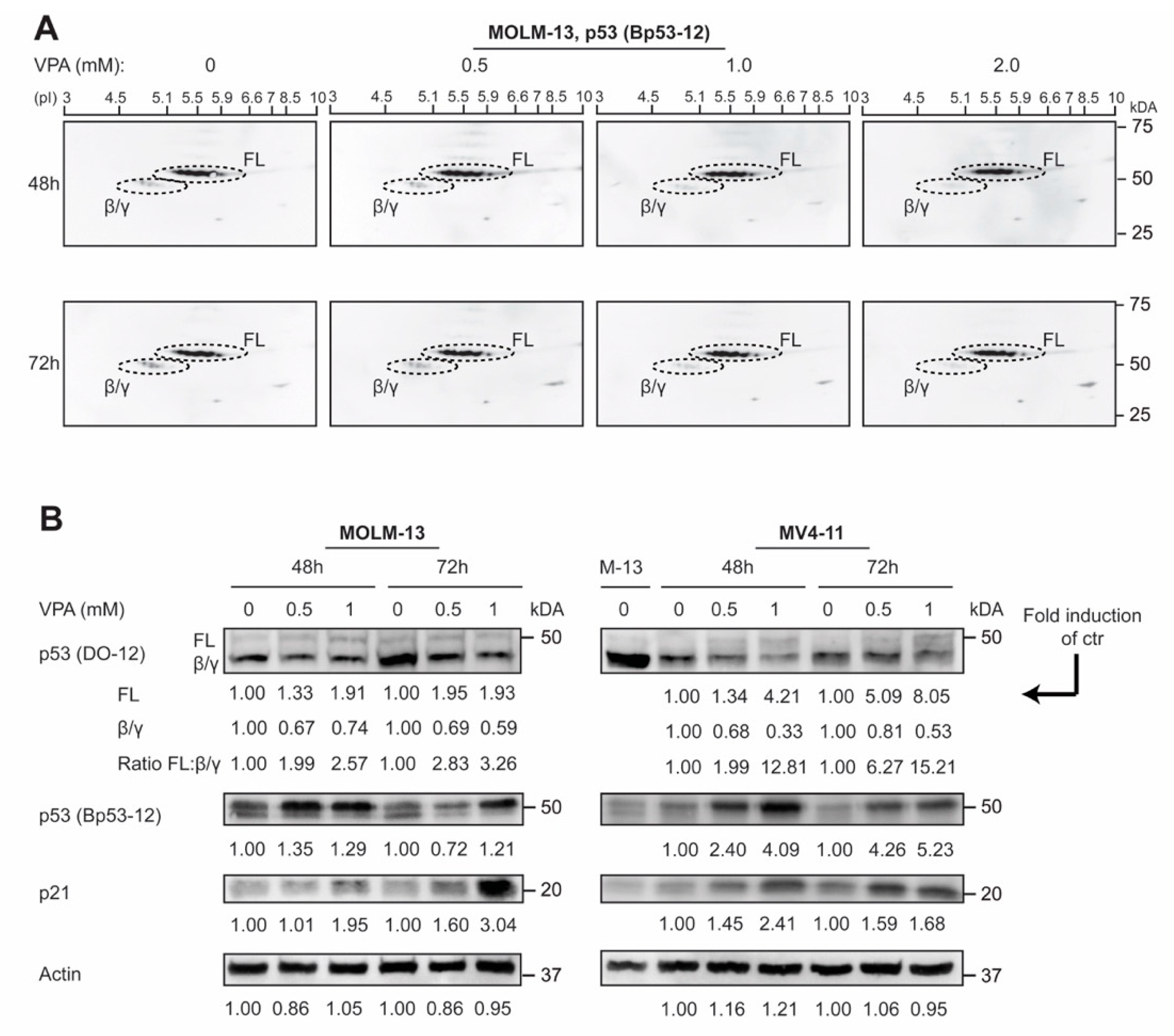 Cells 10 00833 g003 Cells 10 00833 g003