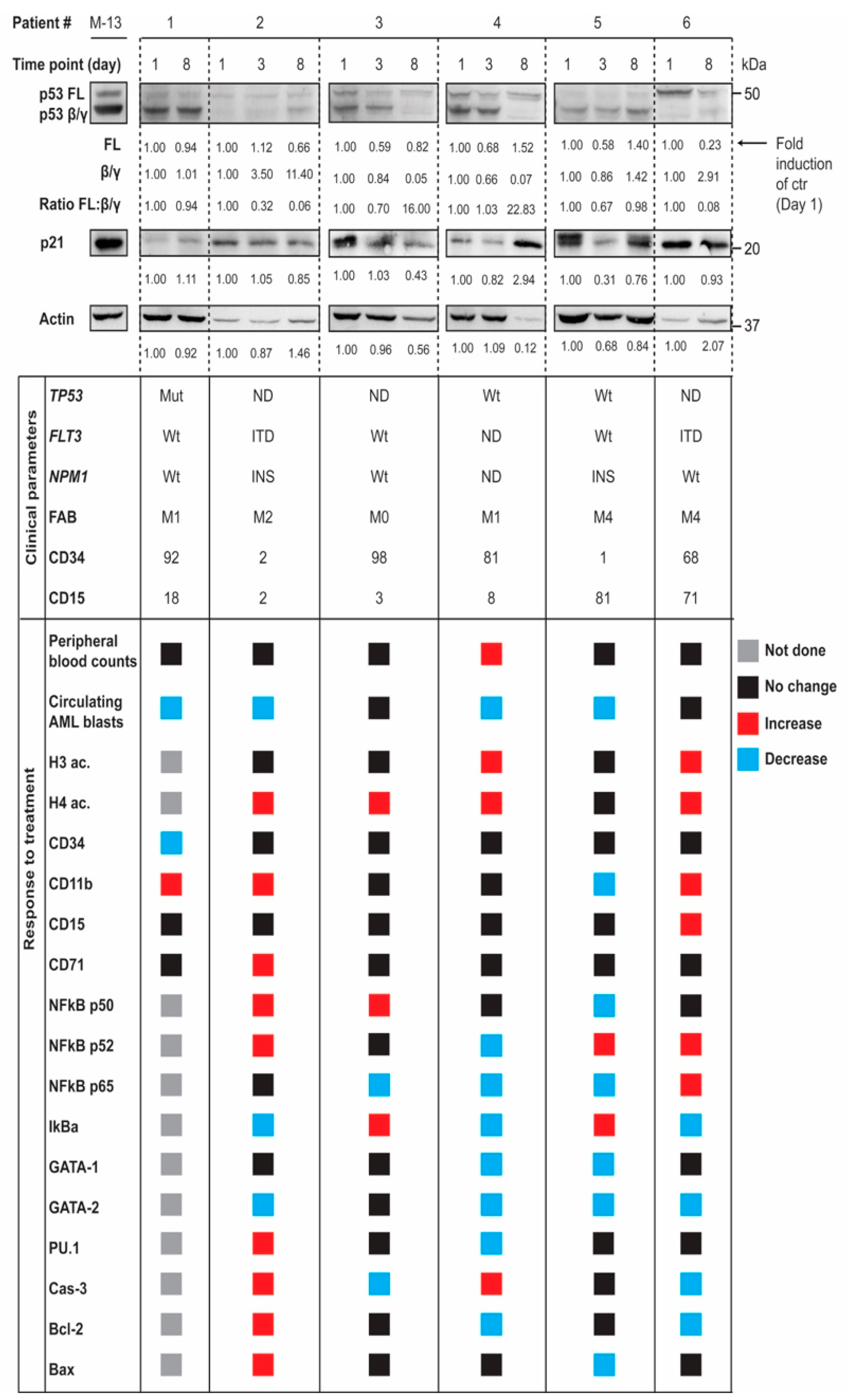 Cells 10 00833 g004 Cells 10 00833 g004