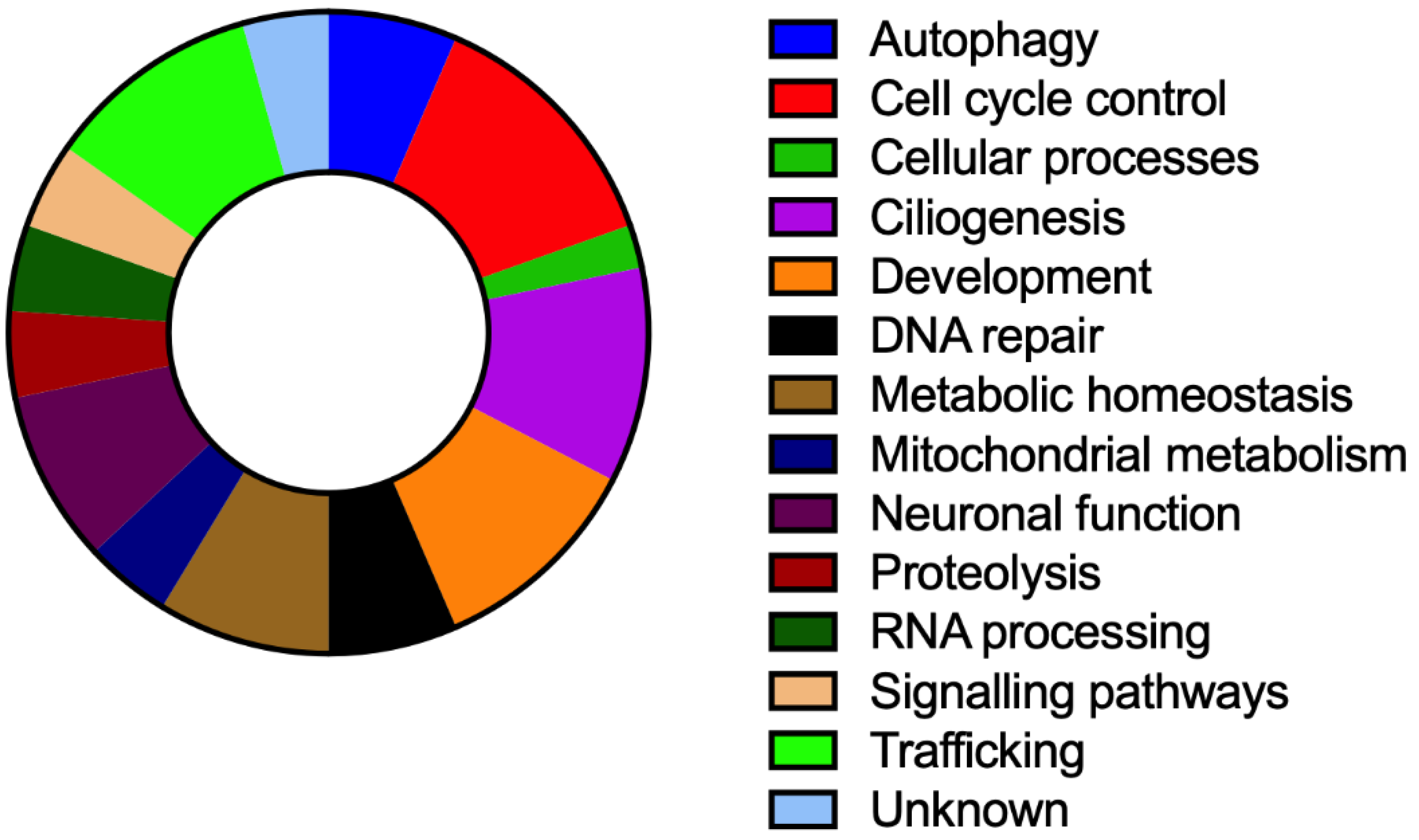 Cells 10 00836 g002 Cells 10 00836 g002