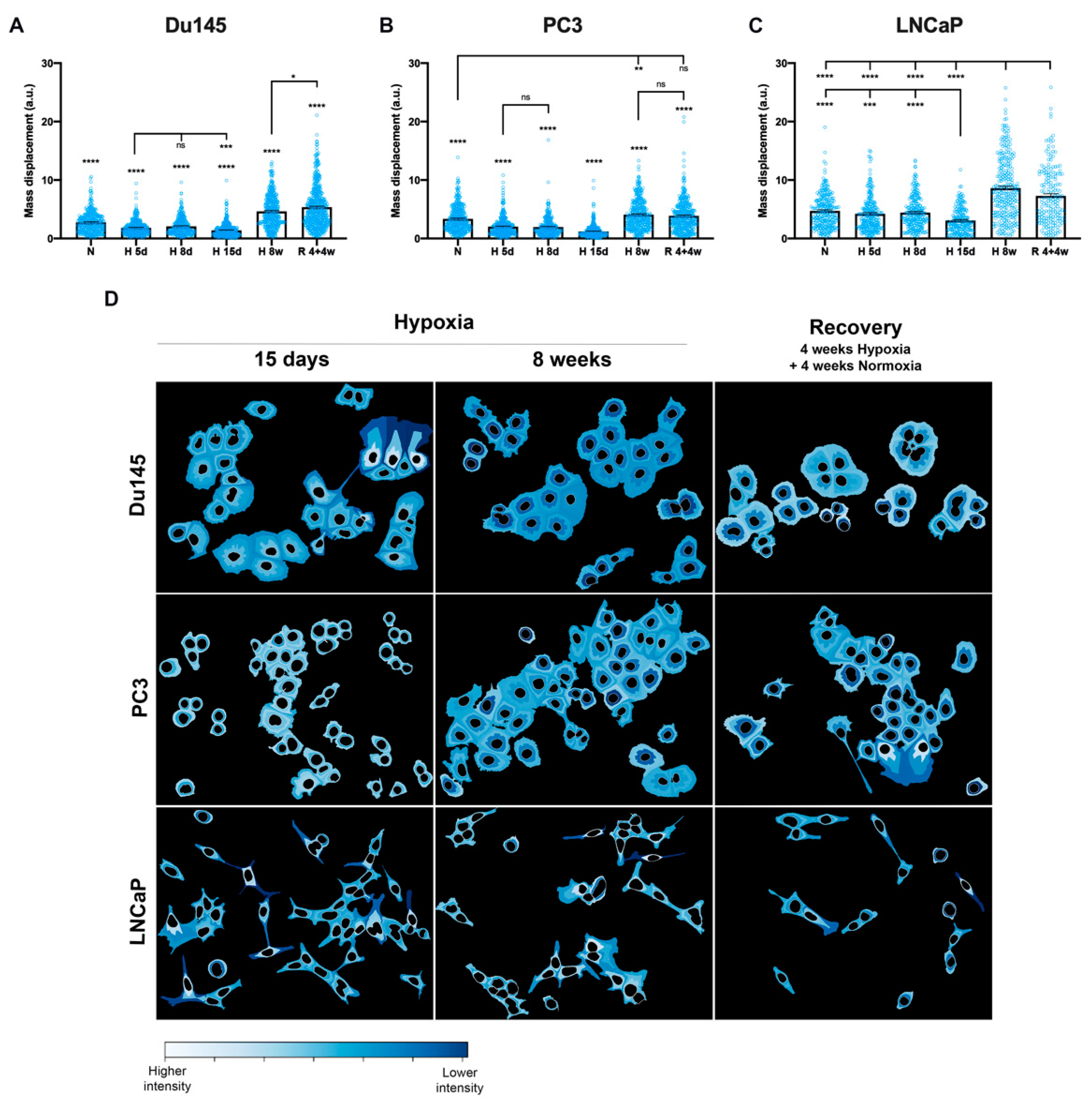 Cells 10 00838 g005 Cells 10 00838 g005