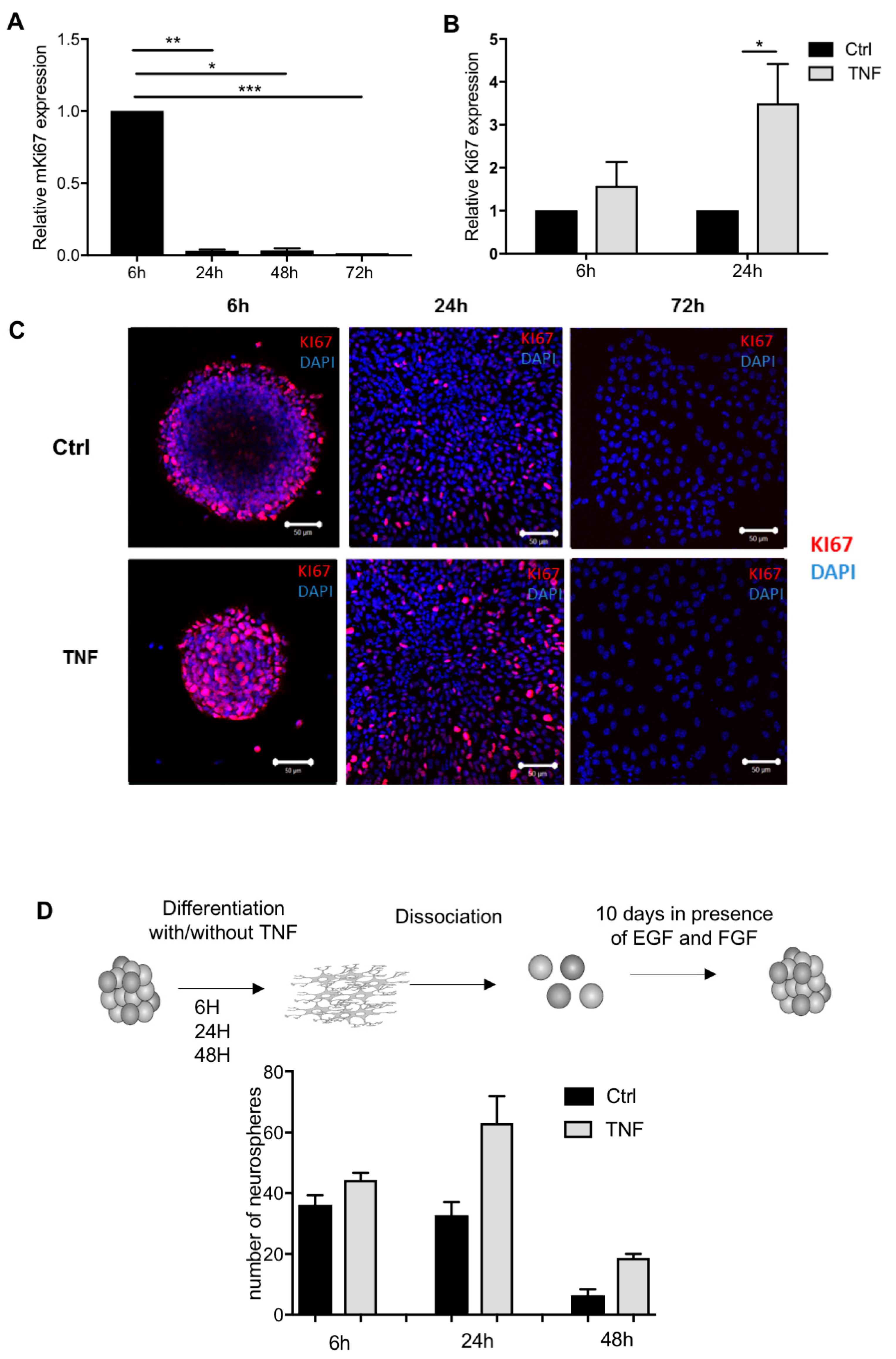 Cells 10 00840 g005 Cells 10 00840 g005