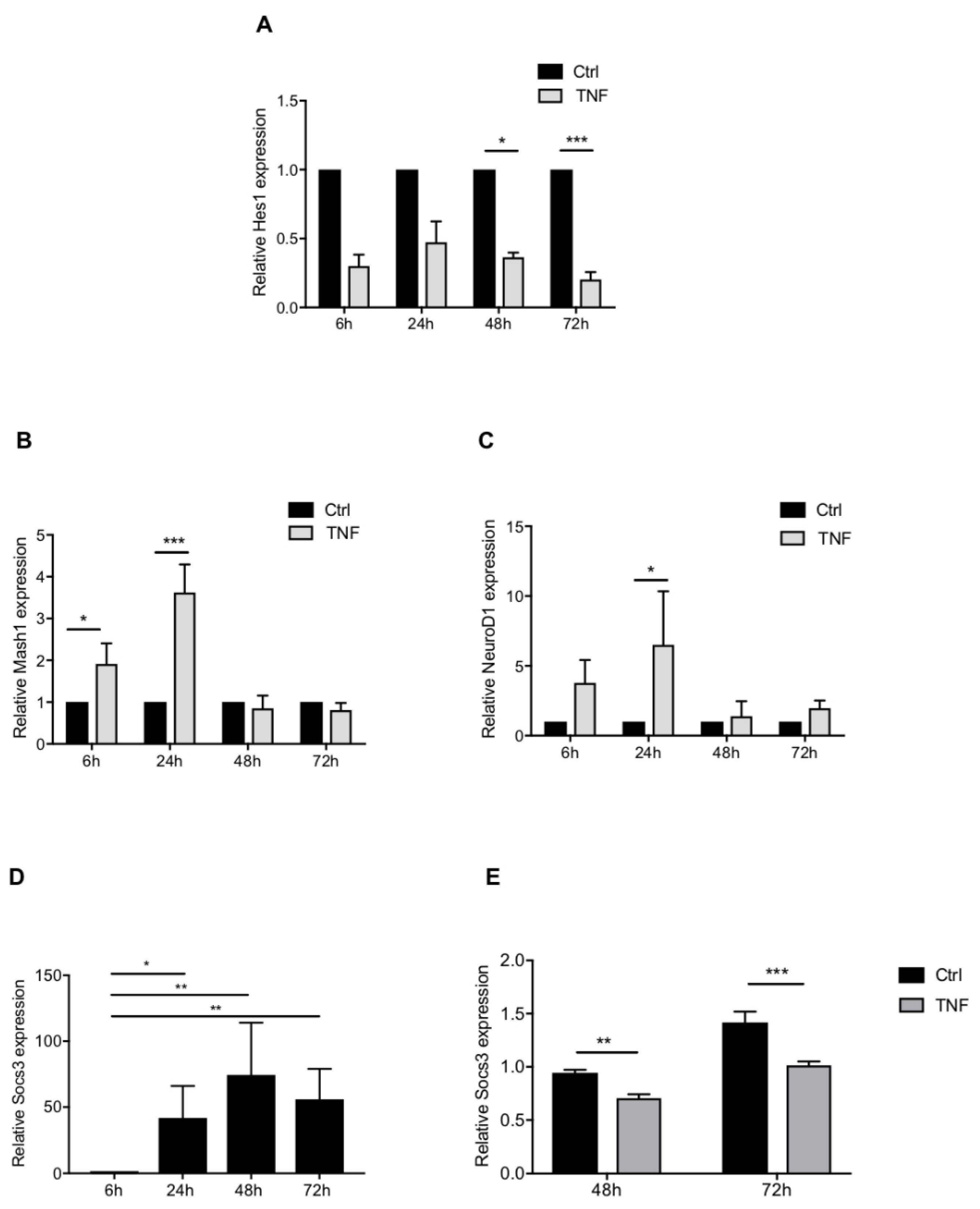 Cells 10 00840 g006 Cells 10 00840 g006