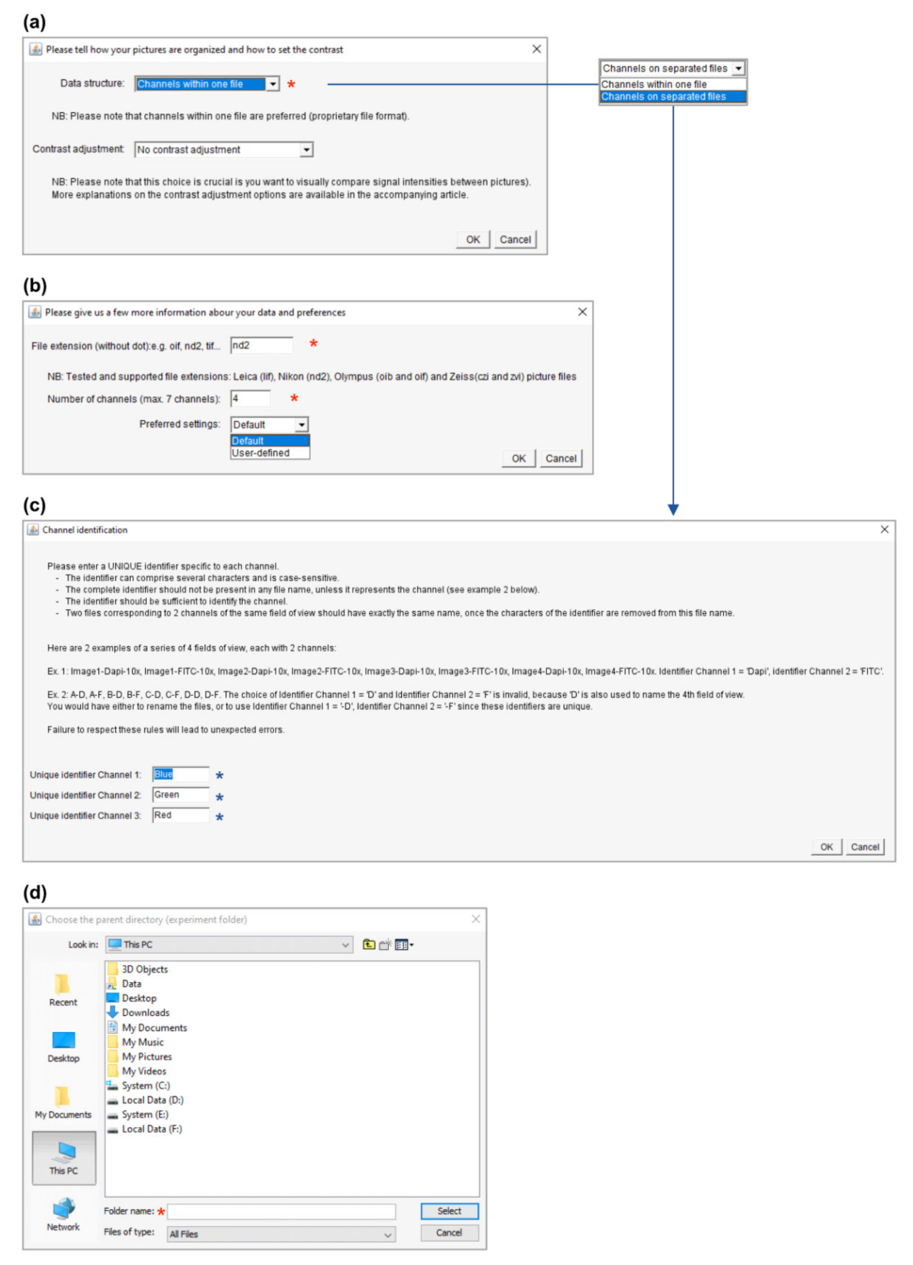 Cells 10 00846 g004 Cells 10 00846 g004