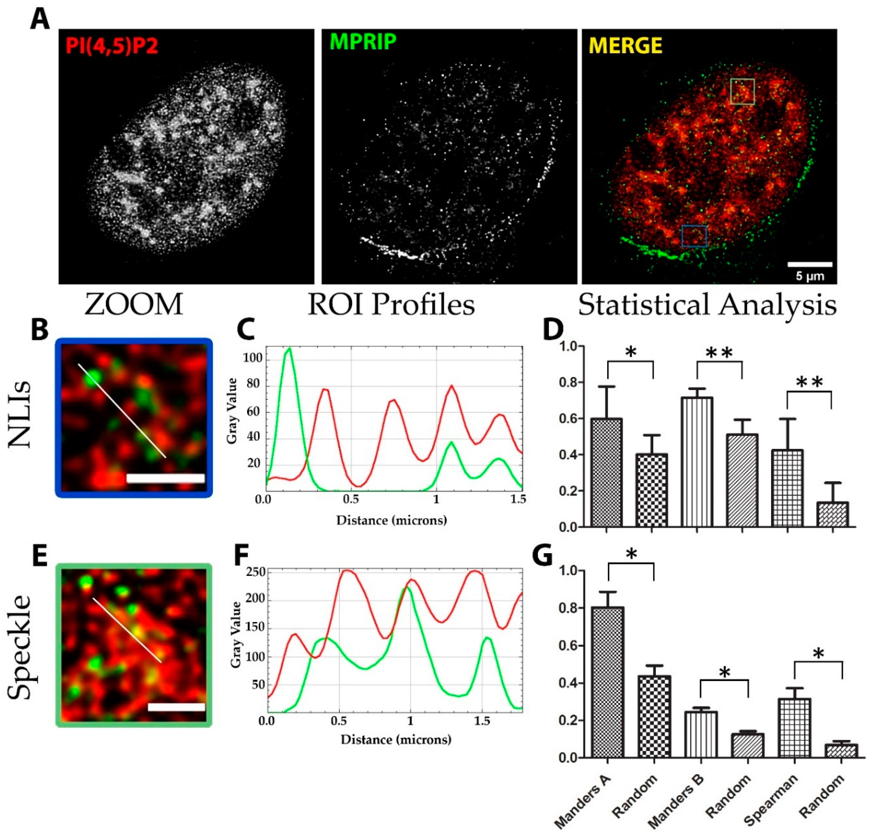 Cells 10 00848 g003 Cells 10 00848 g003