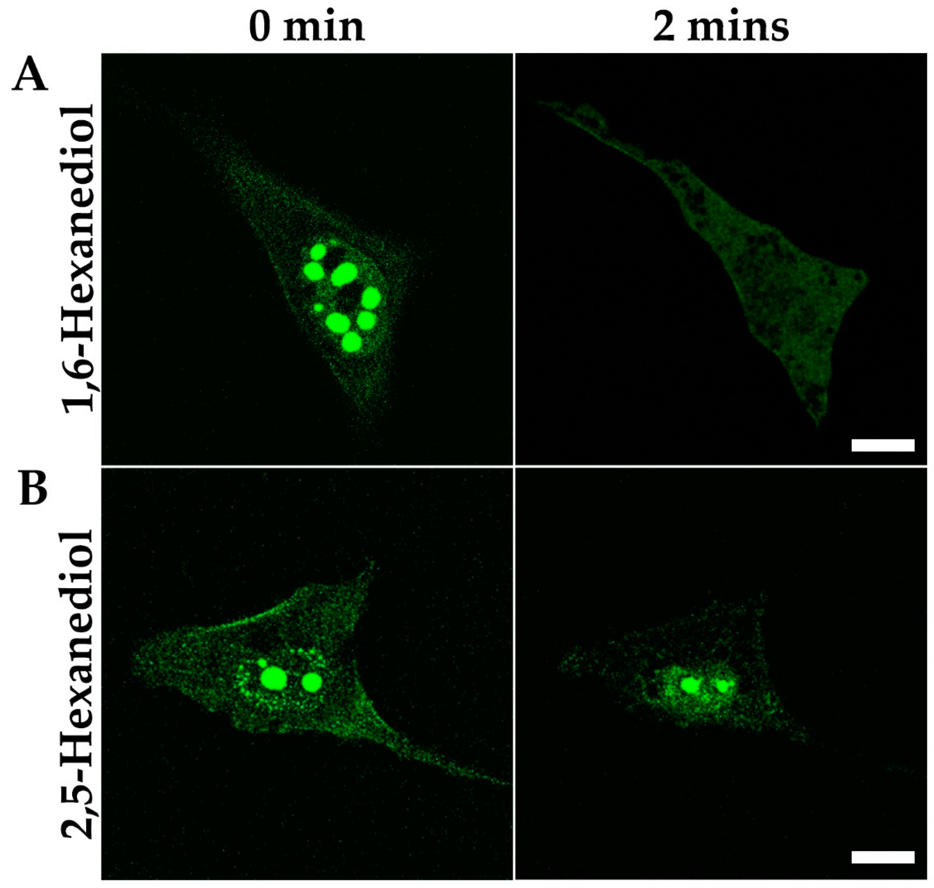Cells 10 00848 g006 Cells 10 00848 g006