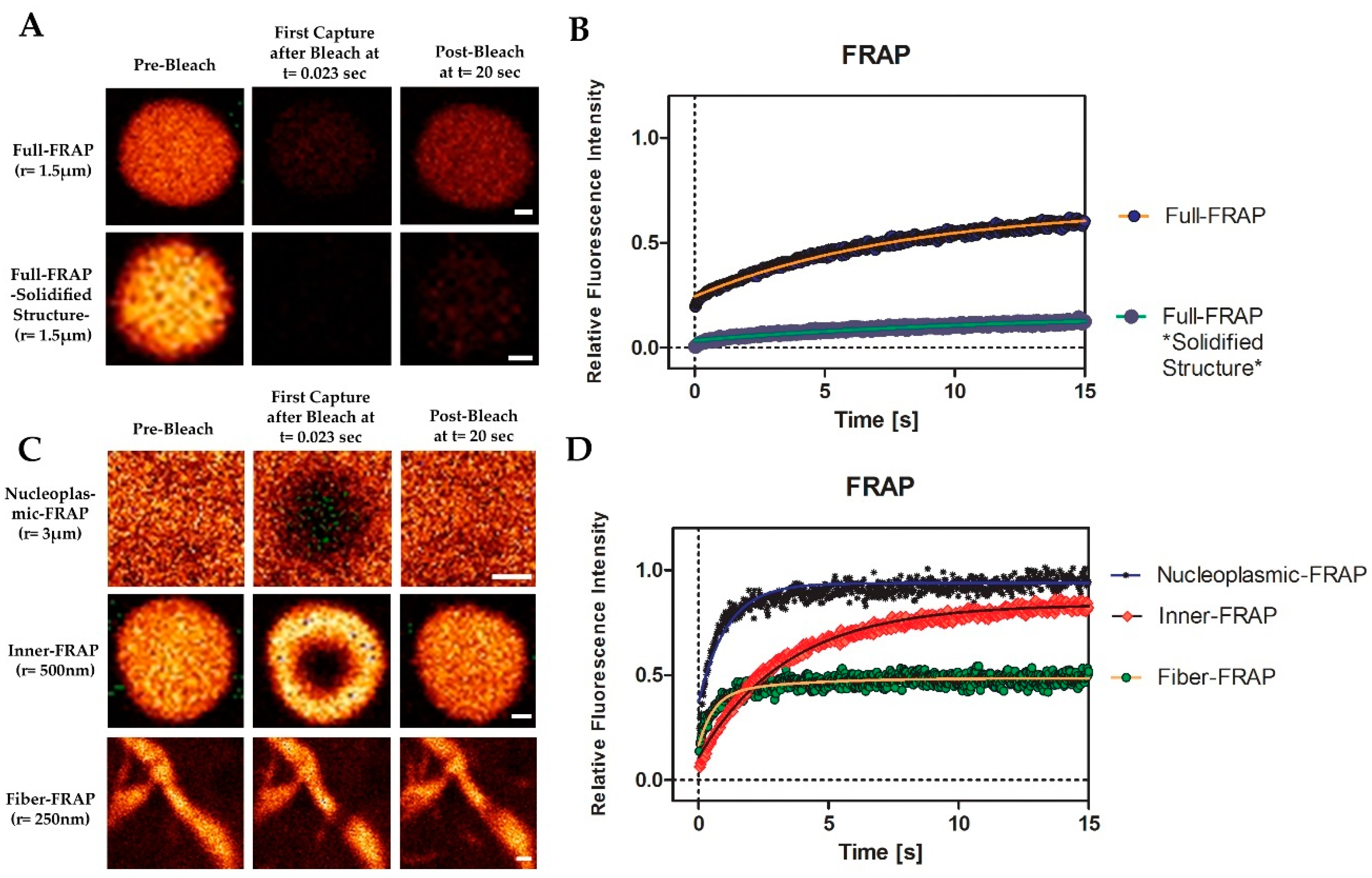 Cells 10 00848 g008 Cells 10 00848 g008