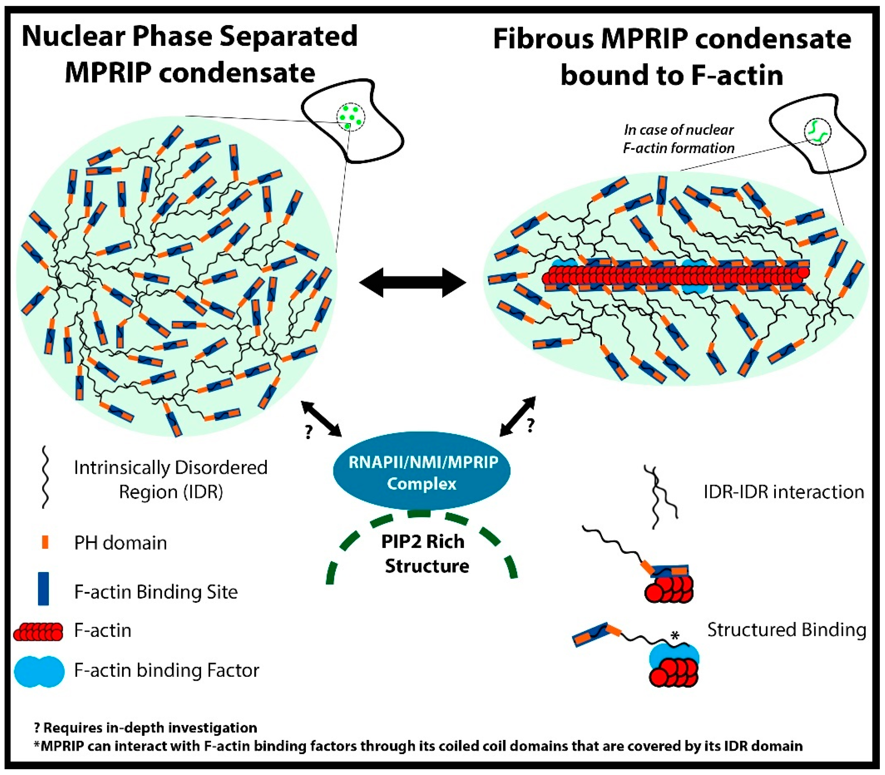 Cells 10 00848 g011 Cells 10 00848 g011